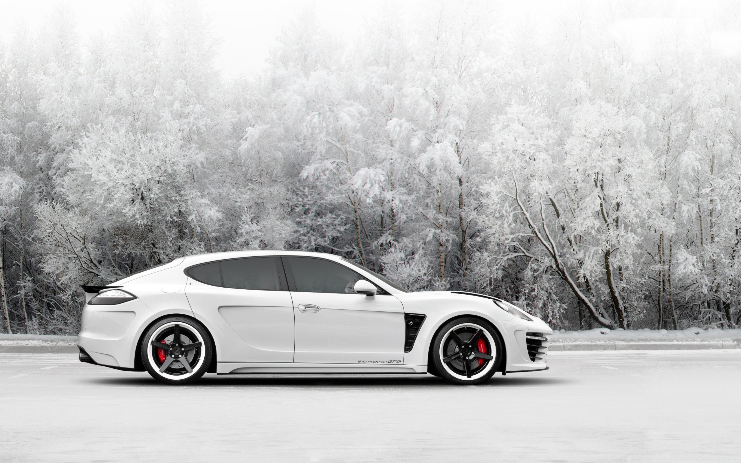 Porsche Panamera, Stingray GTR wallpaper, 2560x1600 HD Desktop