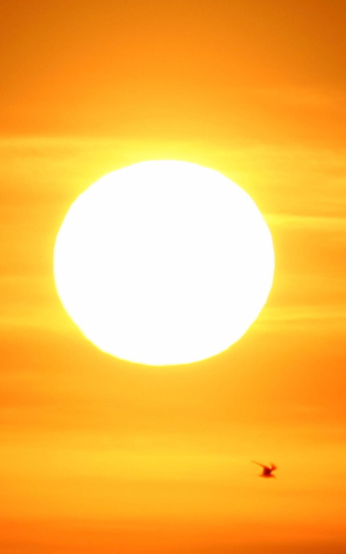 Majesttische Sonne, Strahlende Schnheit, Beeindruckende Hintergrnde, 1200x1920 HD Handy