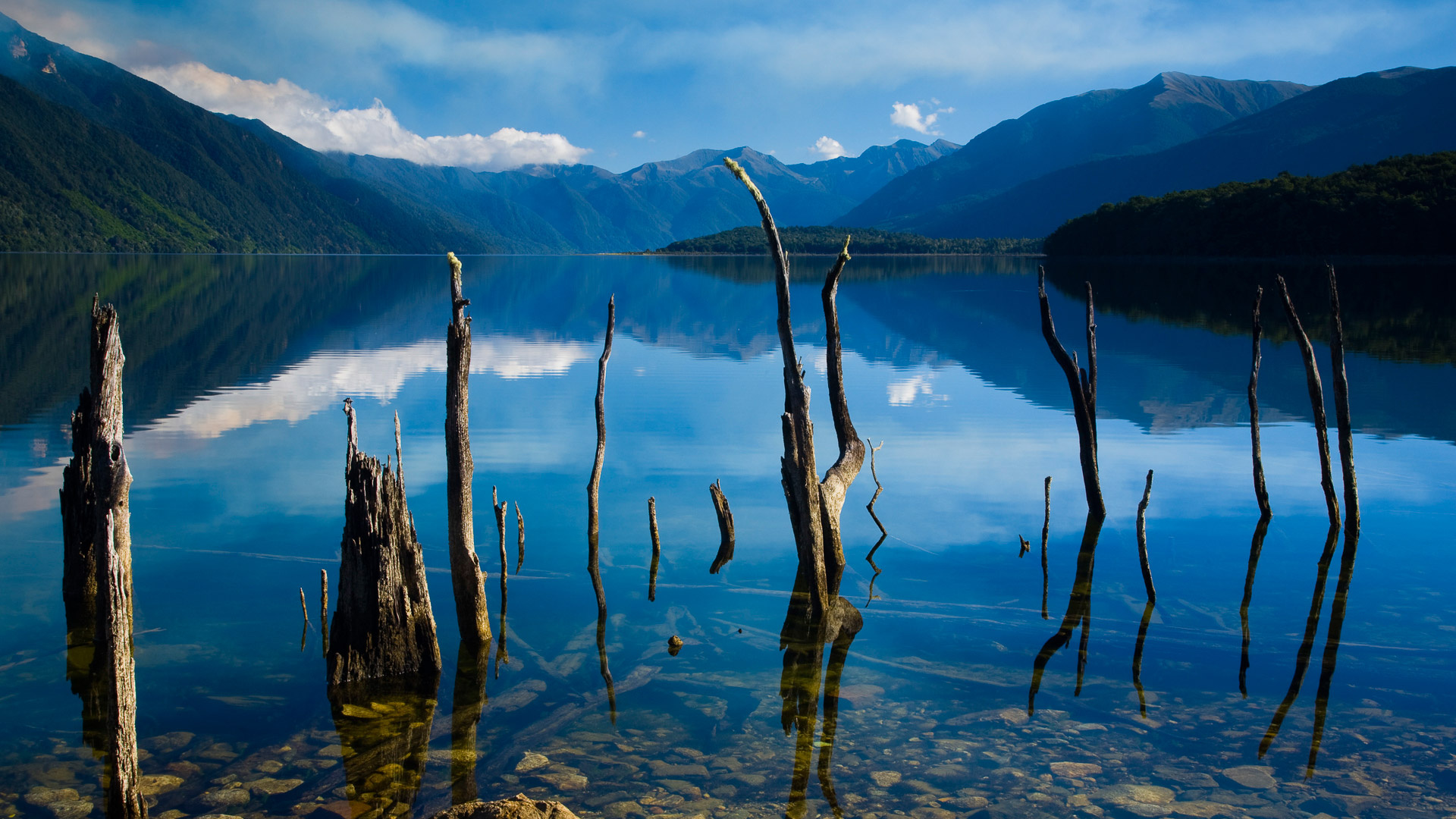 Lake Monowai, Fiordland National Park, Southland, New Zealand, 1920x1080 Full HD Desktop