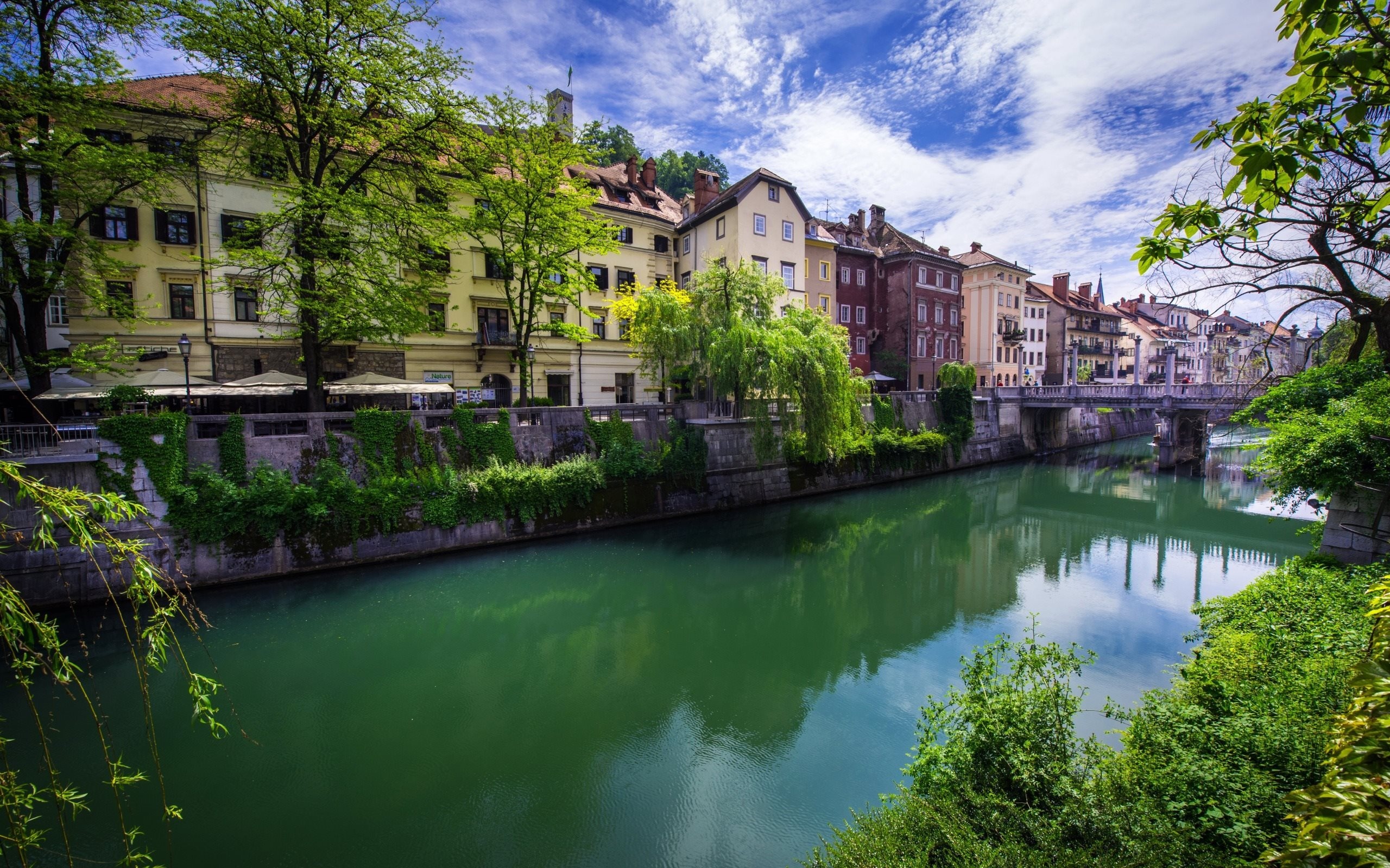 Ljubljana Slovenia, Summer bridge, Desktop wallpaper, 2560x1600 HD Desktop