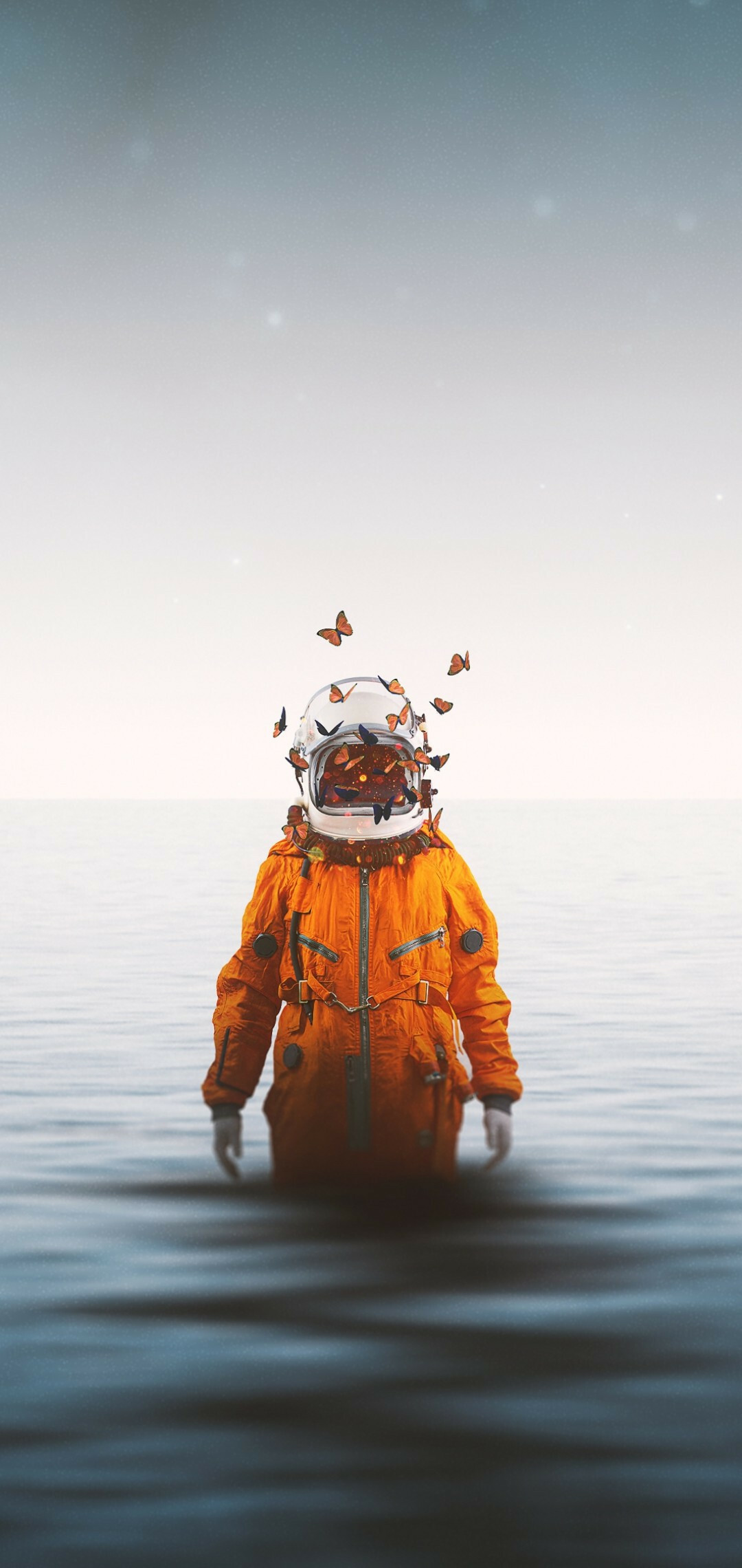 Astronaut: Horizon, A human who has undergone specific training to fly into space. 1080x2280 HD Background.