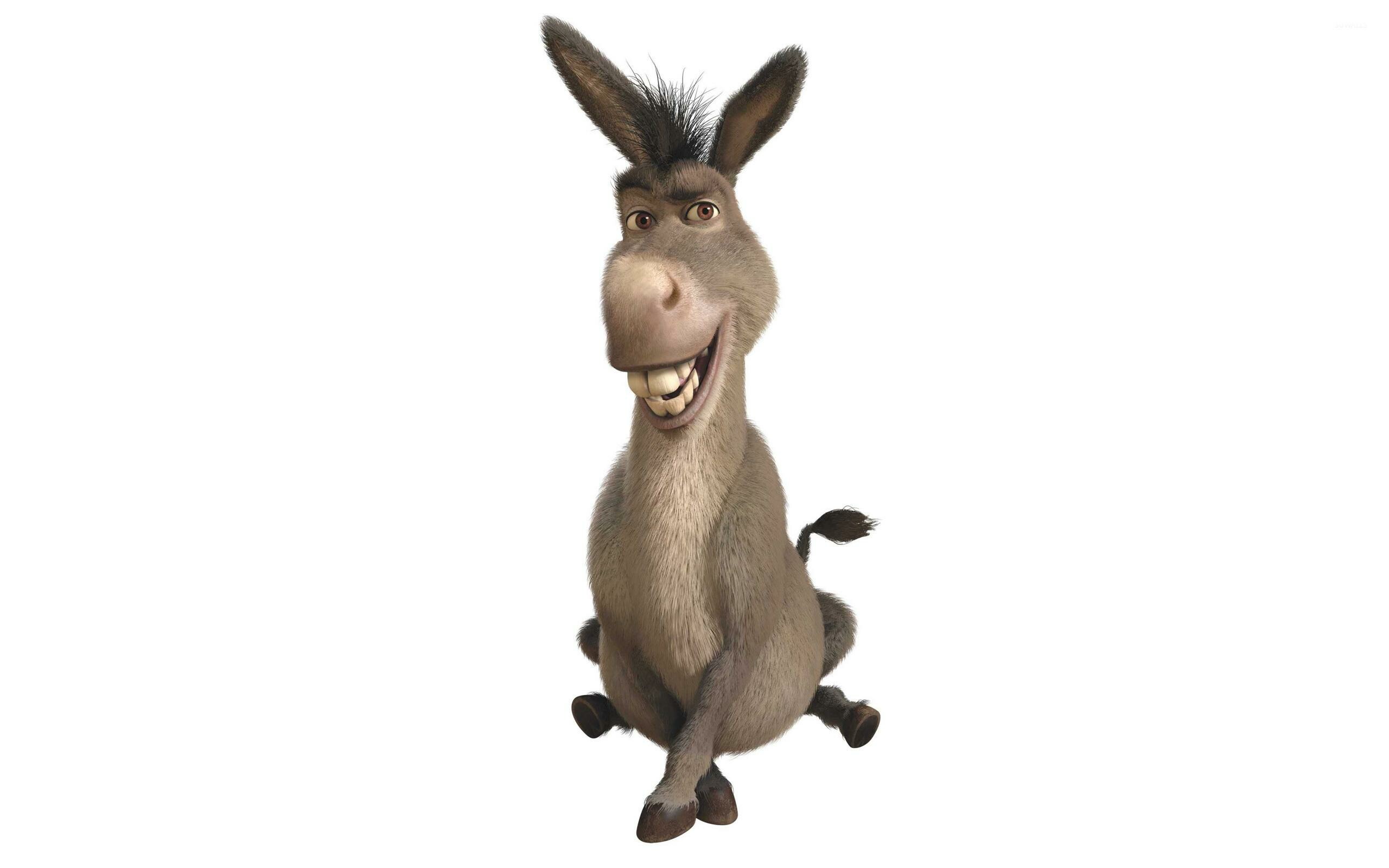 Shrek: Eddie Murphy as Donkey, His appearance is modeled after a miniature donkey named Perry. 2560x1600 HD Wallpaper.