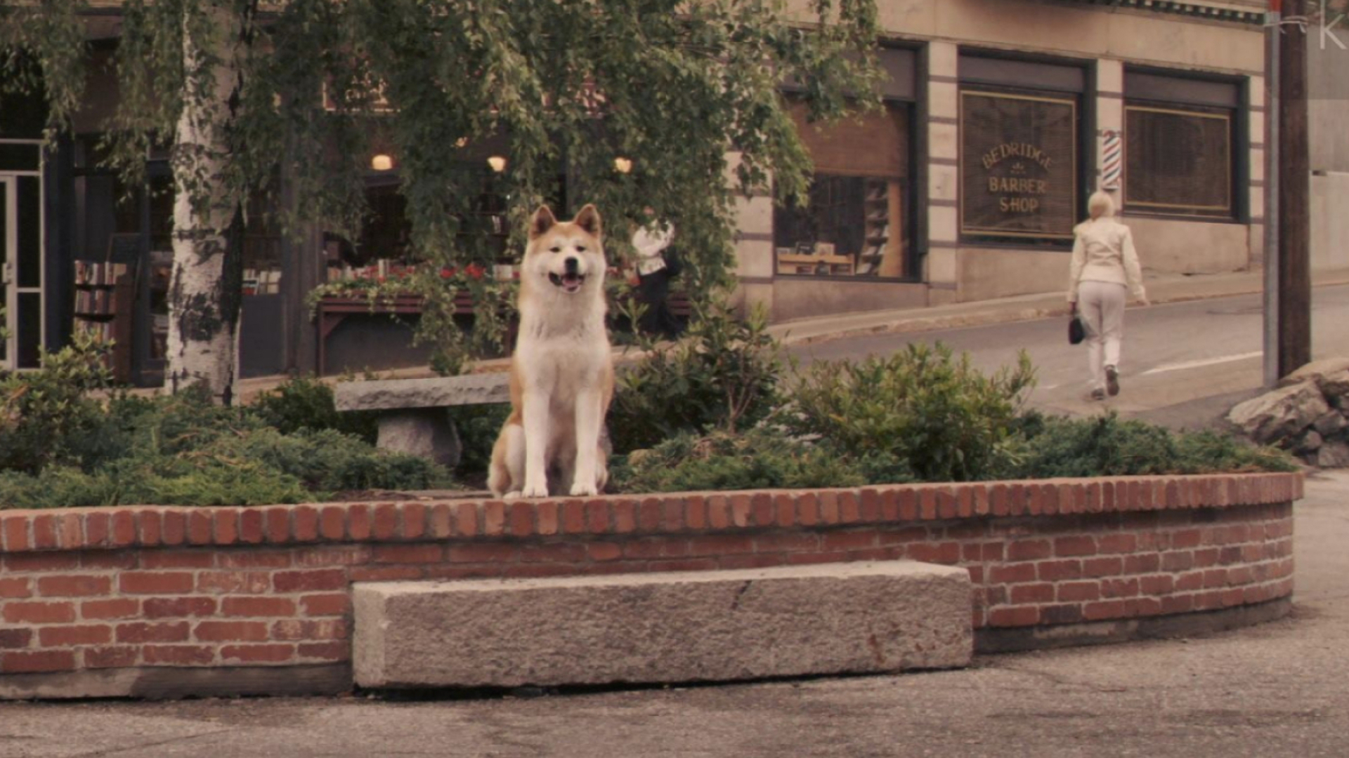 Hachi: A Dog's Tale, Unwavering loyalty, Forever waiting, Heartwrenching tale, 1920x1080 Full HD Desktop