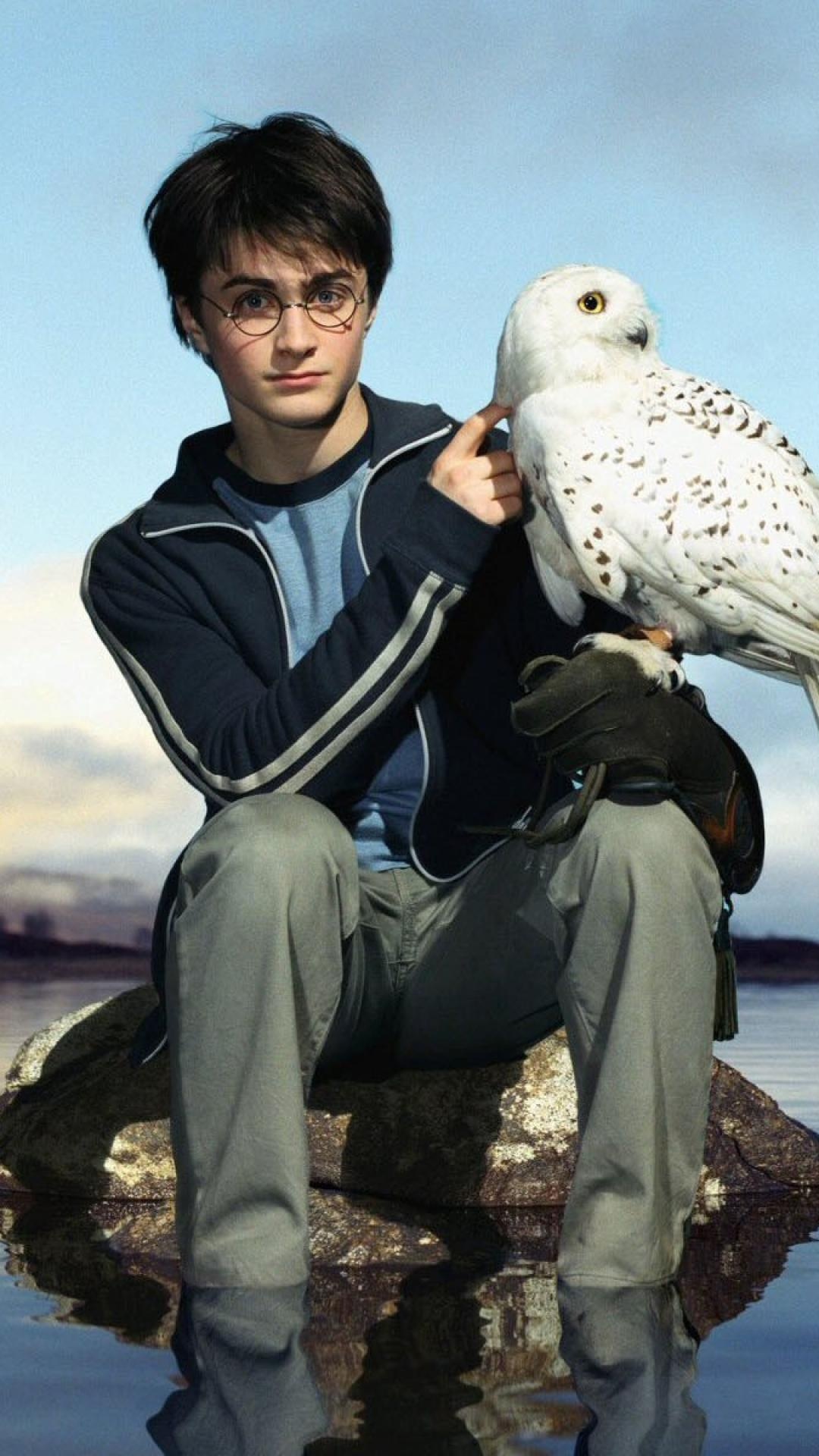 Daniel Radcliffe, Hedwig, Desktop wallpapers, Movies, 1080x1920 Full HD Phone