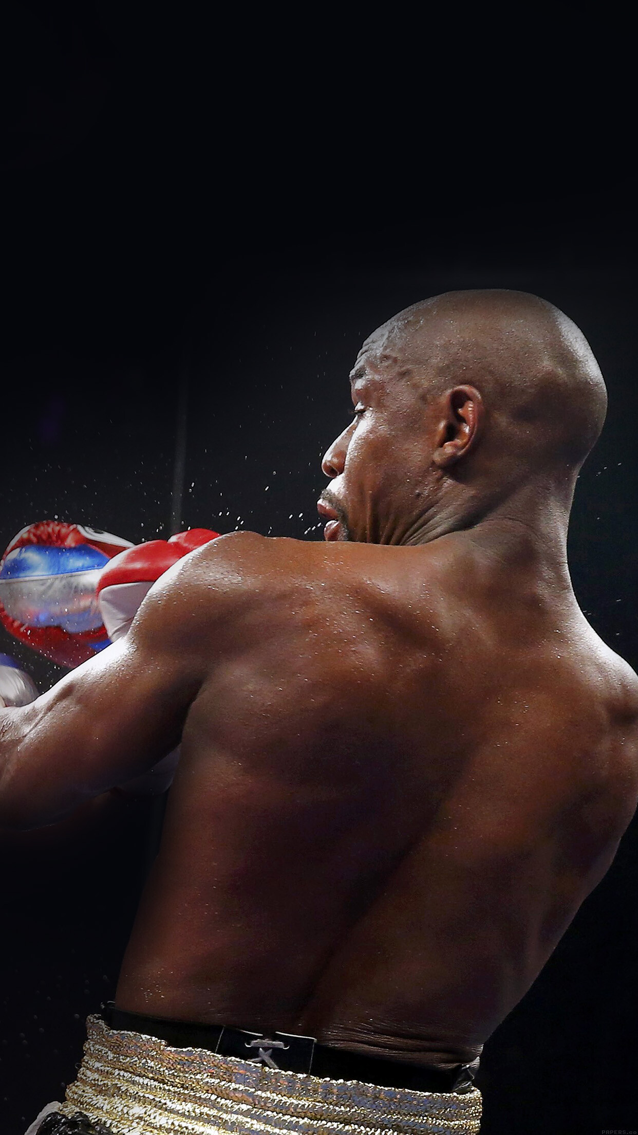 Boxing: Floyd Mayweather Jr., a three-time winner of the BWAA Fighter of the Year award. 1250x2210 HD Wallpaper.