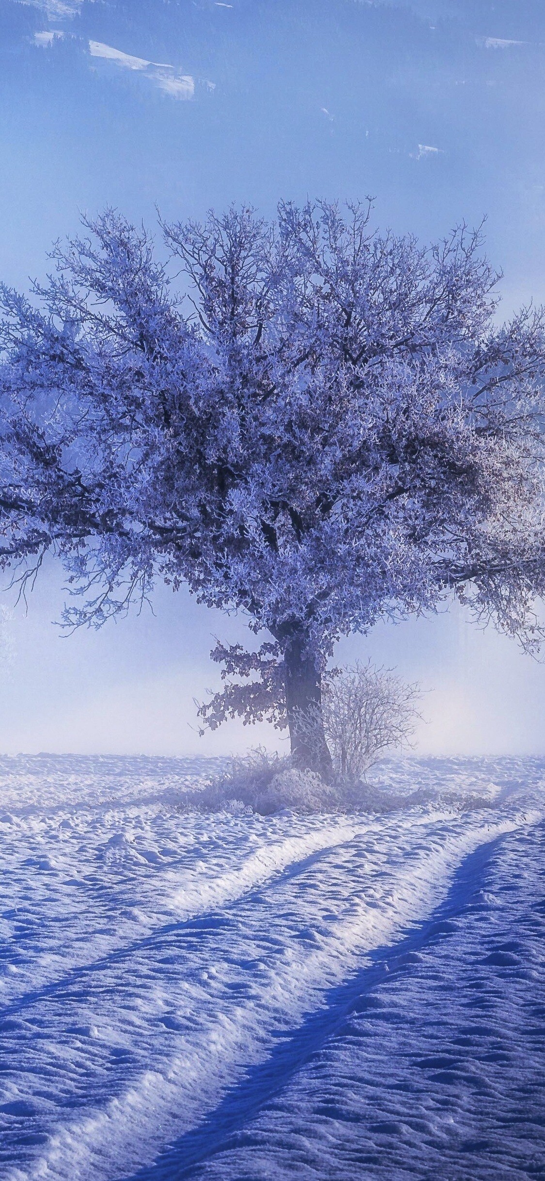 Winter: Seasonal changes, The cold weather, Snowy valley. 1130x2440 HD Background.