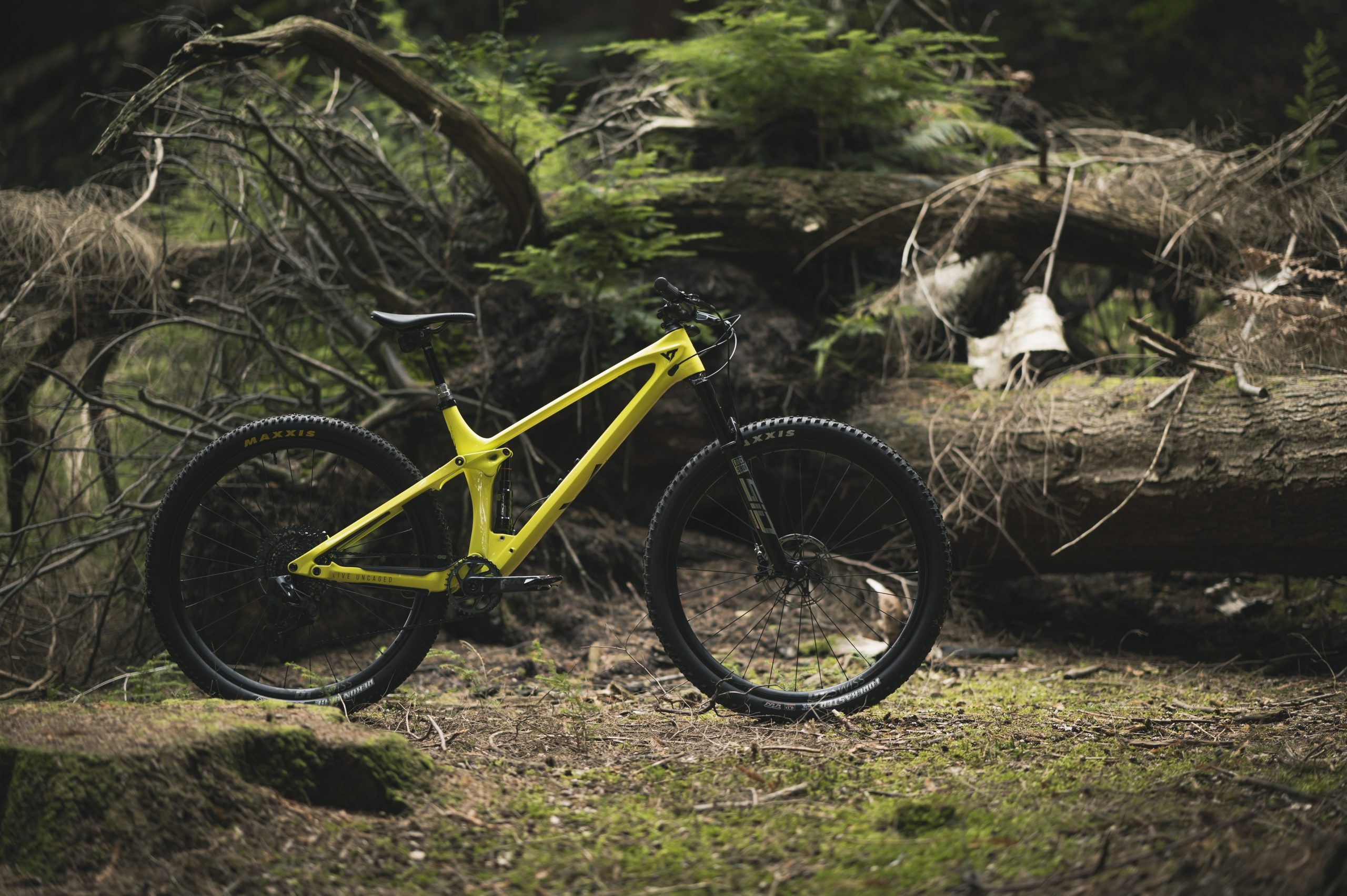YT Bikes Sports, Exciting first ride, Exceptional performance, Unleash your potential, 2560x1710 HD Desktop