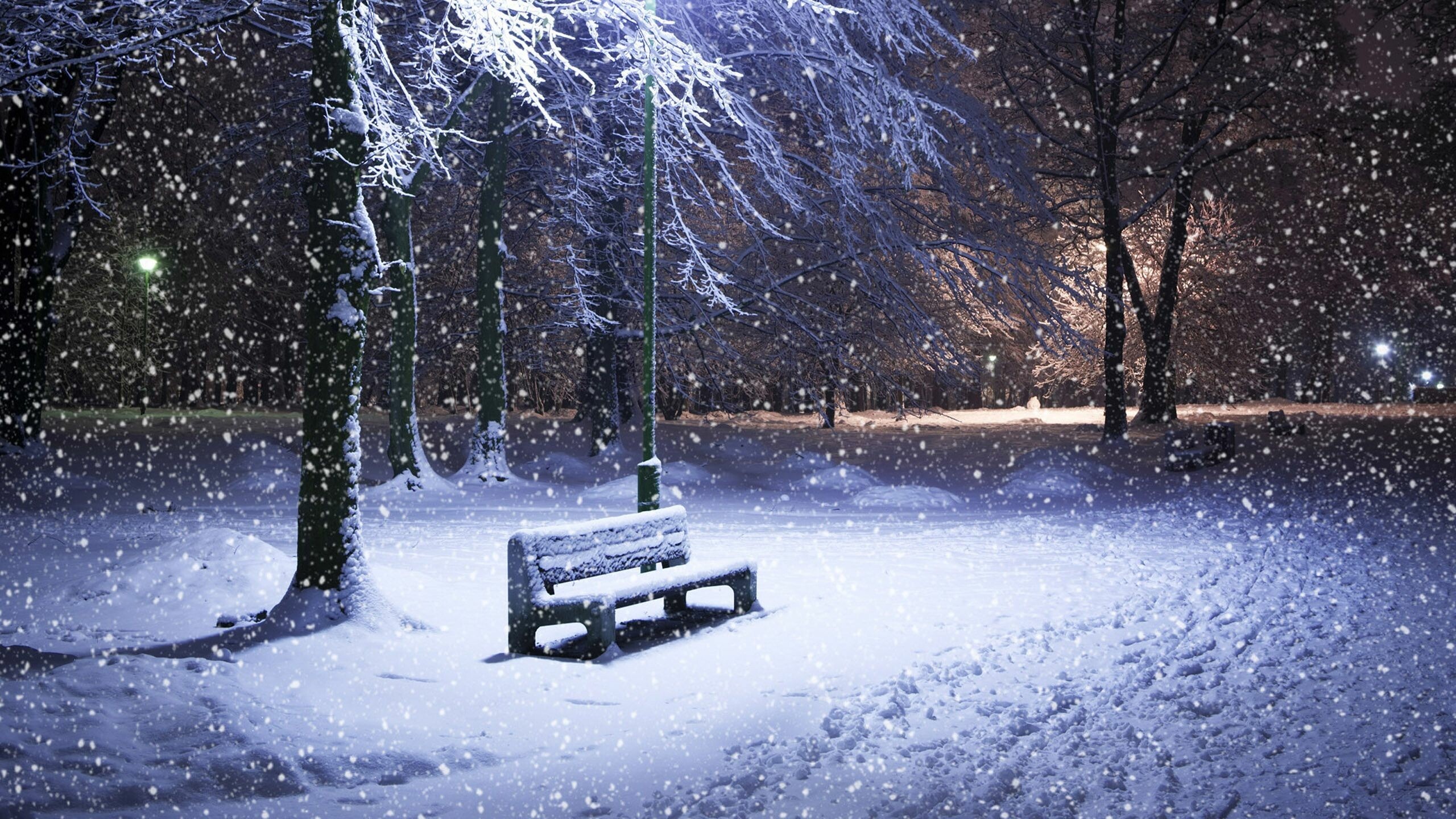 Snow, Winter nature wallpapers, 2560x1440 HD Desktop