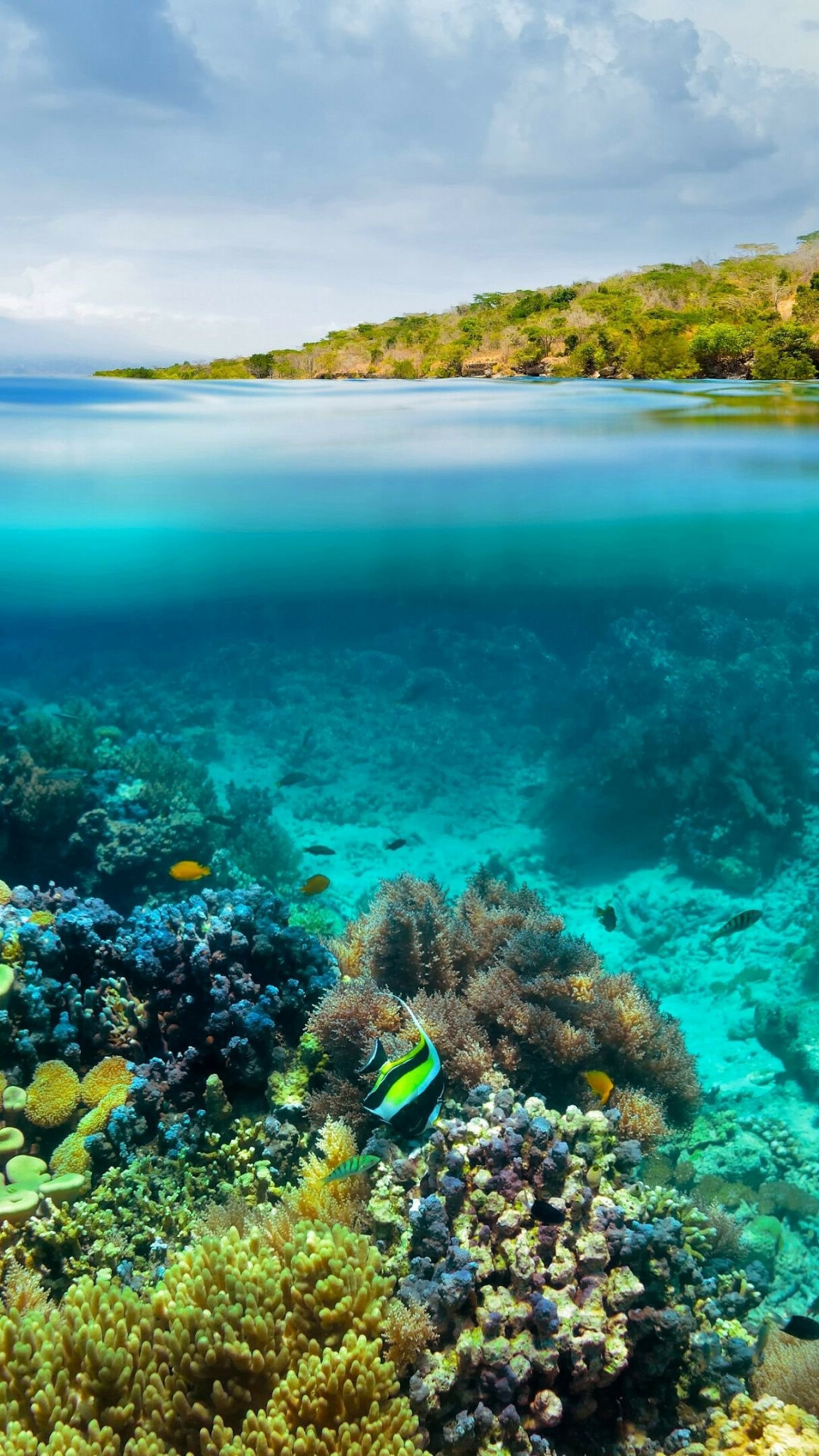 Great Barrier Reef: One of the most spectacular maritime scenery in the world, Reefs. 1080x1920 Full HD Background.