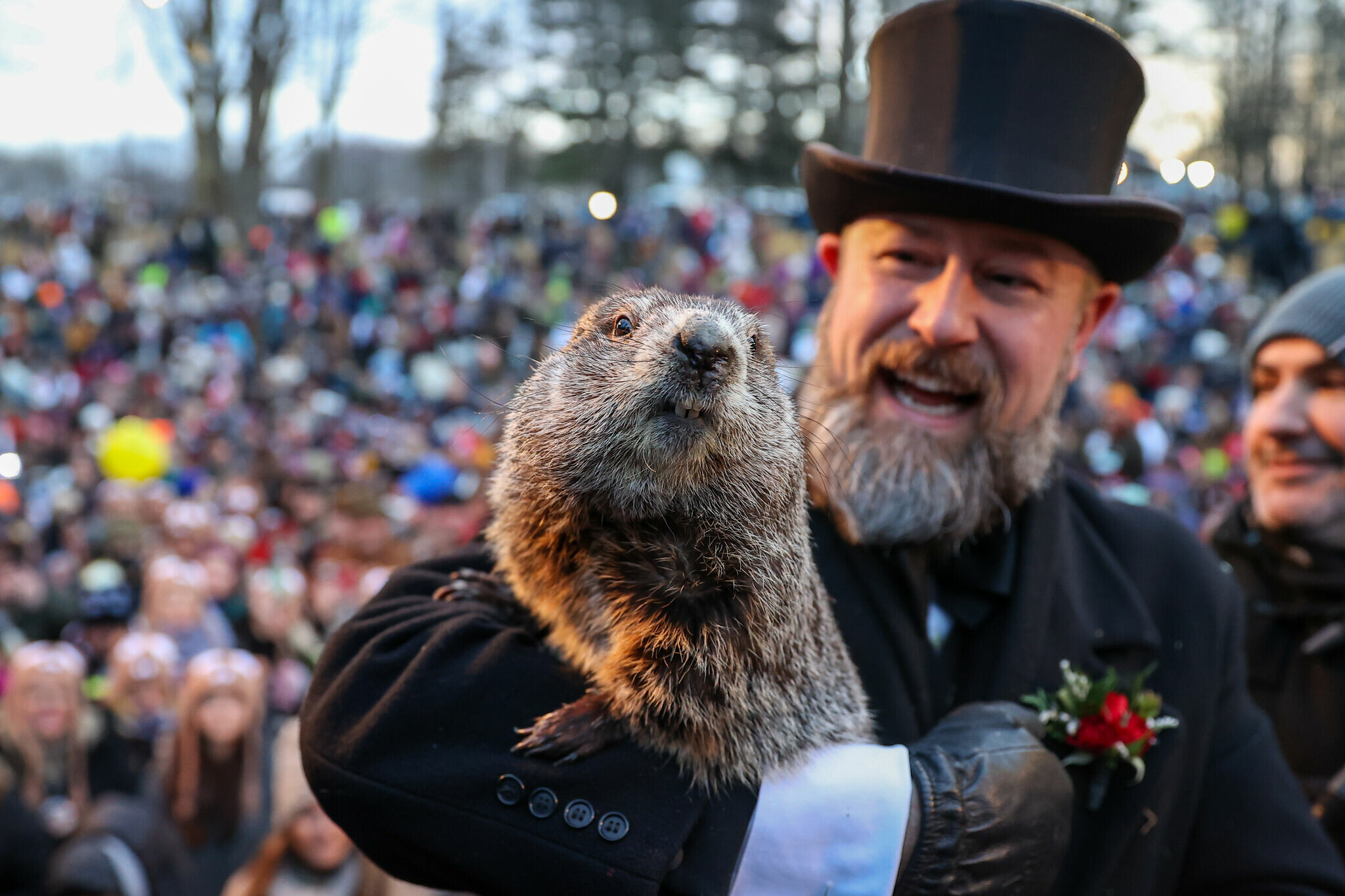 Groundhog Day (Holiday): One of America's weirdest traditions, Punxsutawney Phil and his shadow. 2050x1370 HD Background.