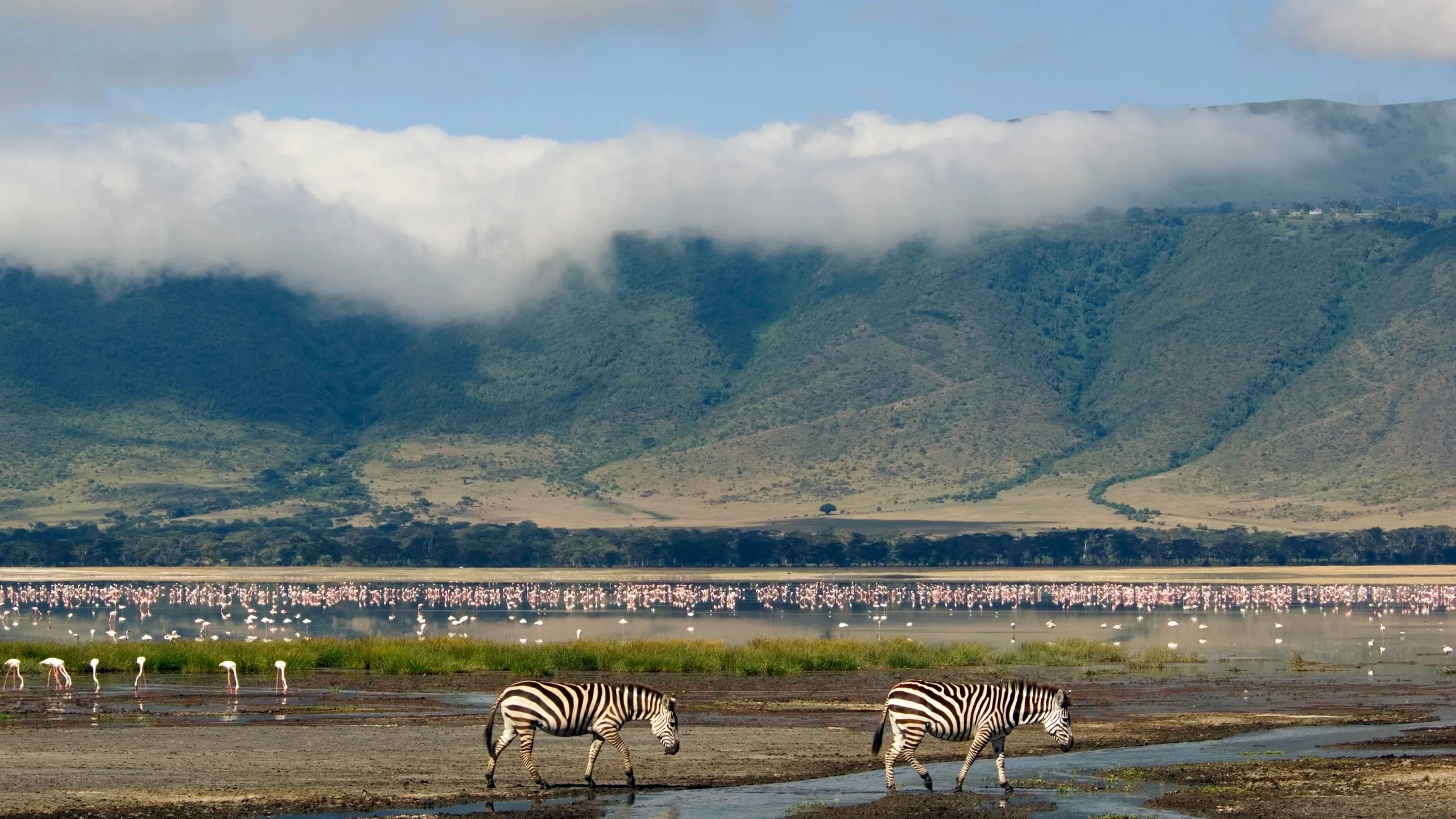 Interesting facts, Ngorongoro Crater, Explore, 2560x1440 HD Desktop