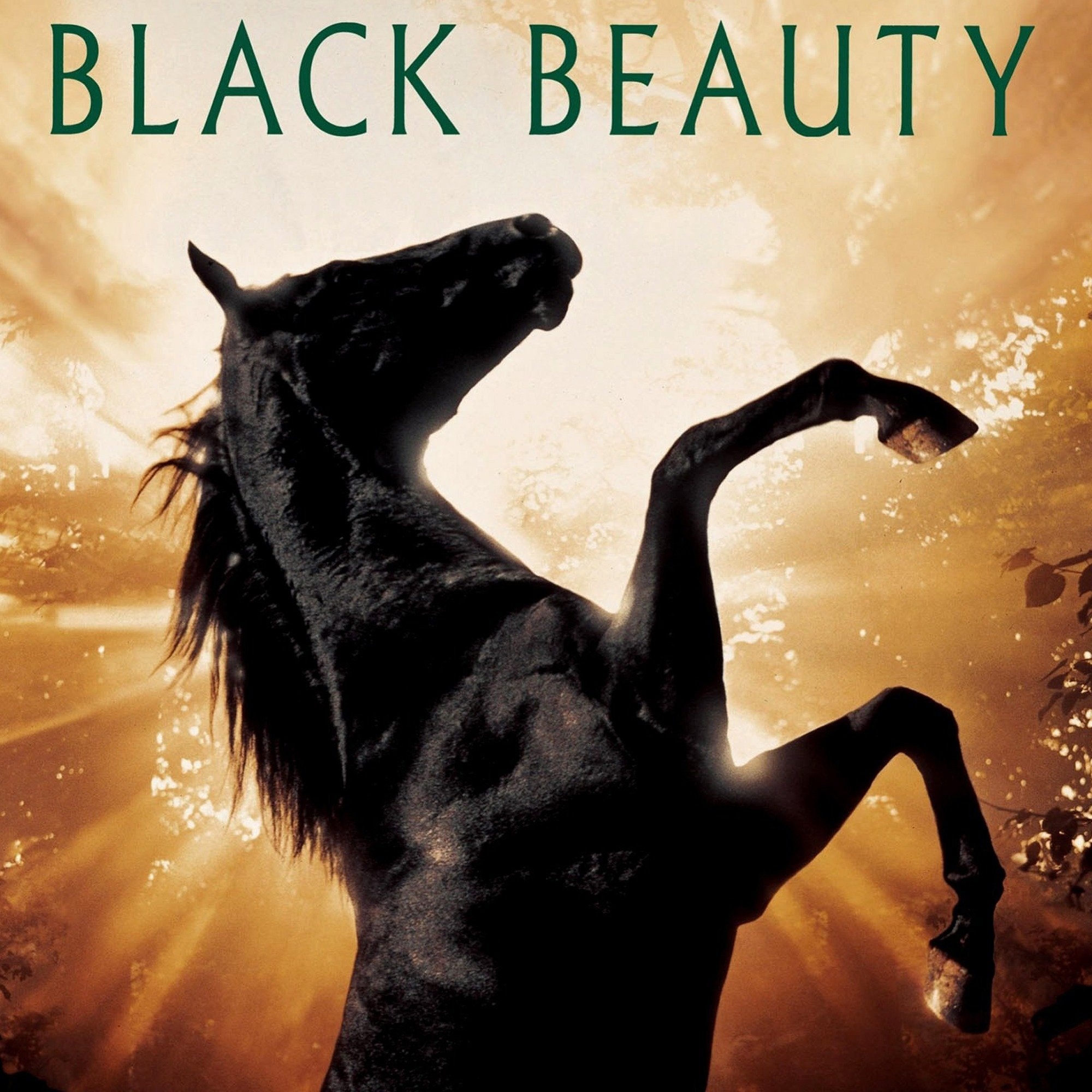 Black Beauty movie, Heartwarming story, Beloved horse, Emotional journey, 2000x2000 HD Phone