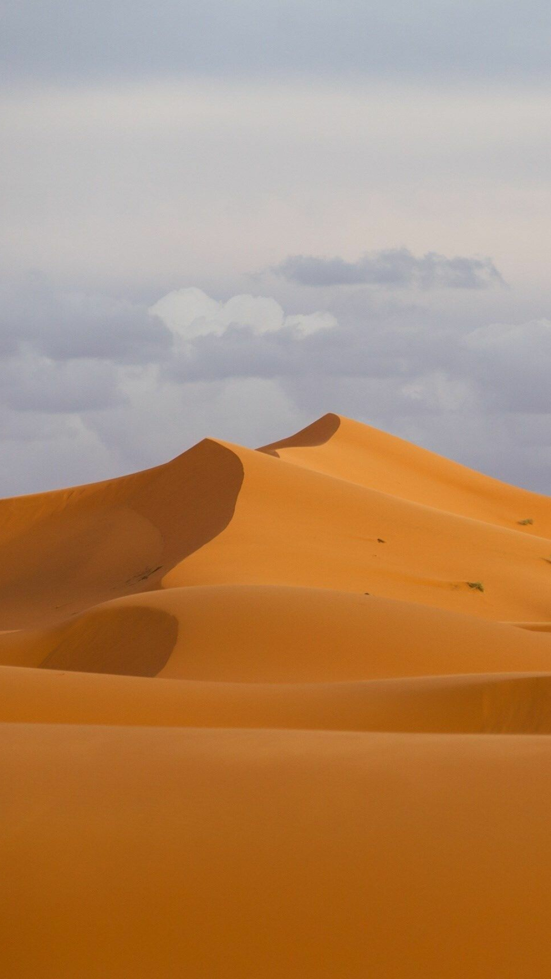 Desert: Temperature extremes are a characteristic of most deserts. 1080x1920 Full HD Wallpaper.