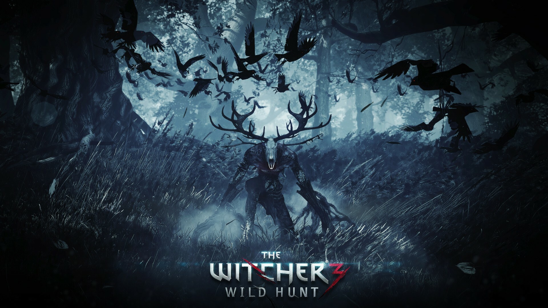 The Witcher (Game): A story-driven, open world adventure set in a dark fantasy universe. 1920x1080 Full HD Background.