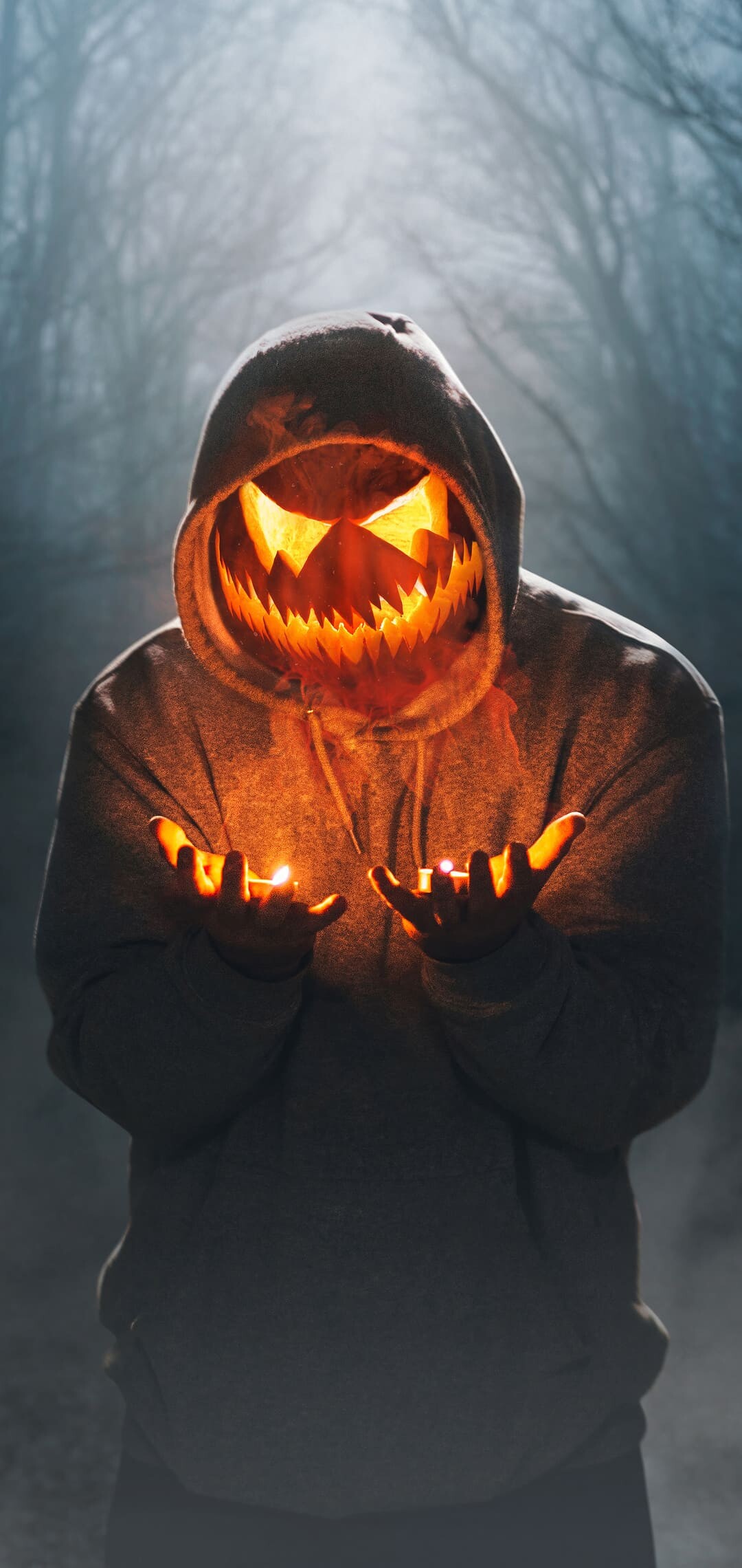Halloween 4K, Haunted aesthetics, Pumpkin patches, Creepy atmosphere, 1080x2280 HD Phone
