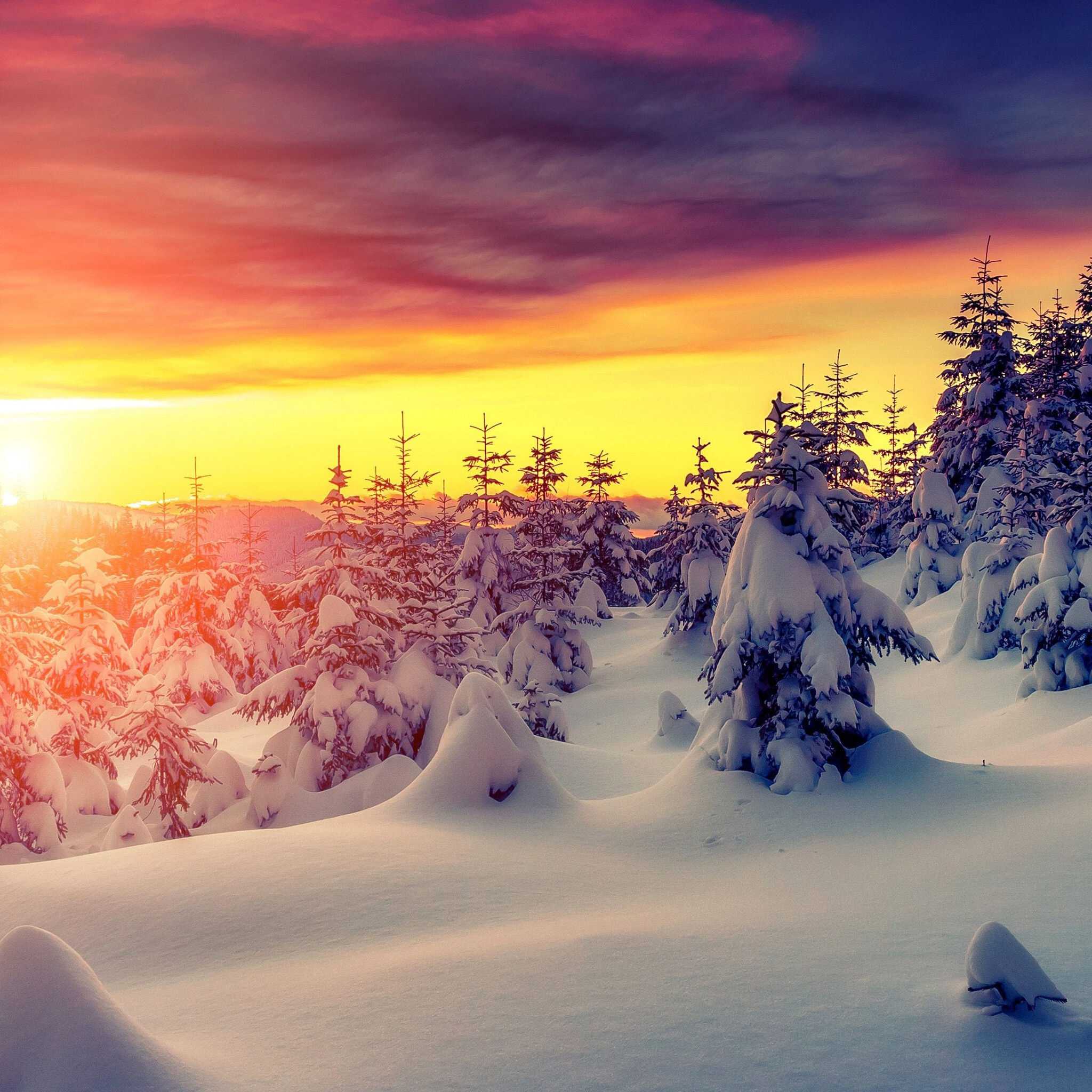 Winter: Wintry landscape, Fresh snow, Freezing. 2050x2050 HD Background.