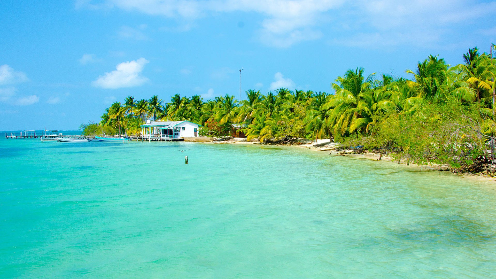 Explore Belize, Scuba diving, Underwater adventure, Caribbean wonders, 1920x1080 Full HD Desktop