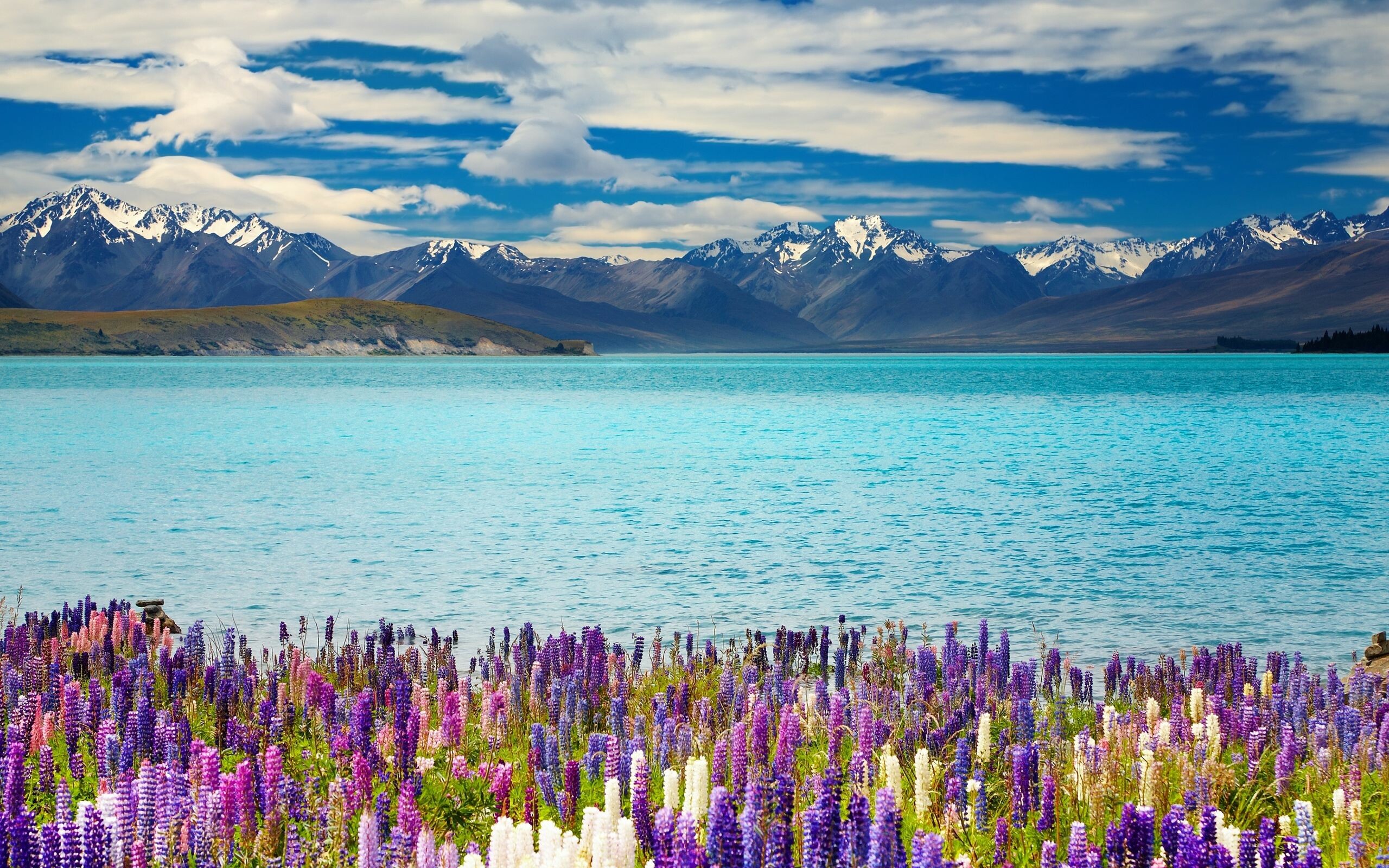 New Zealand: Lake Tekapo, Scenery, The South Island is divided along its length by the Southern Alps. 2560x1600 HD Background.