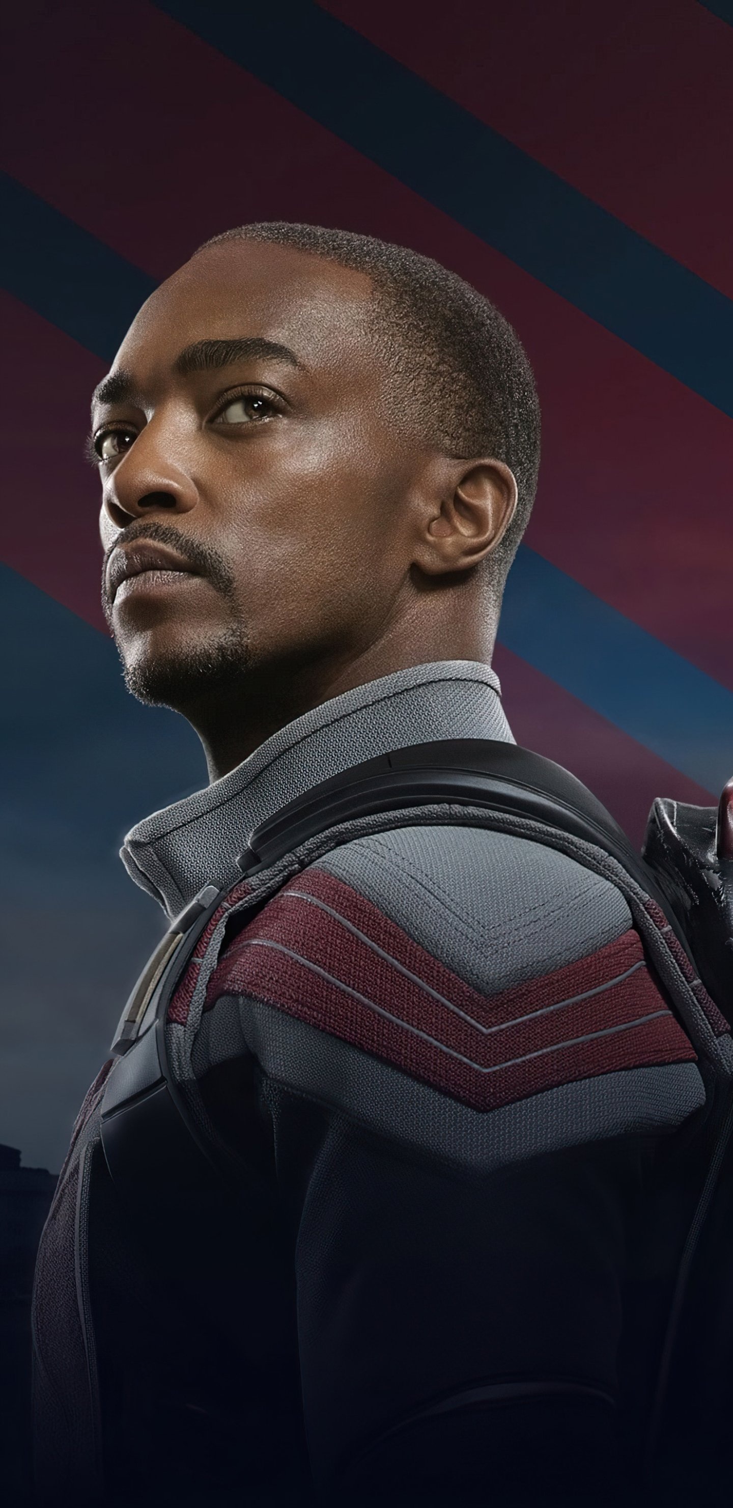 The Falcon and Winter Soldier, TV show, 1440x2960 HD Handy