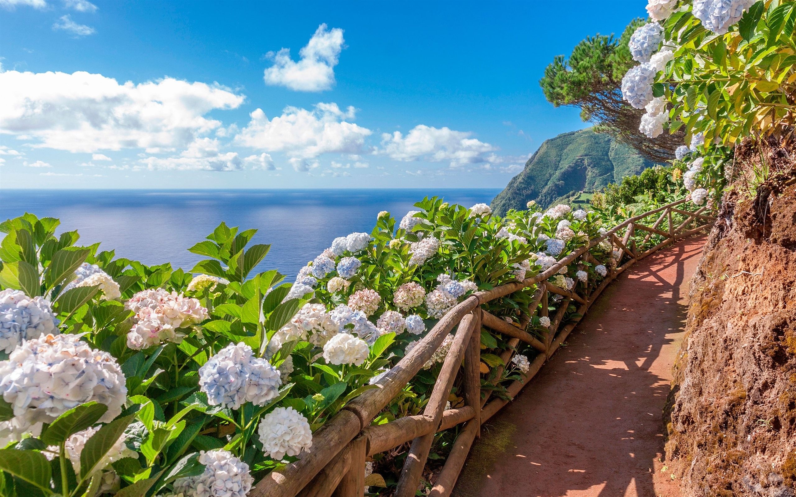 Azores travel, Breathtaking views, Vibrant culture, Stunning backgrounds, 2560x1600 HD Desktop