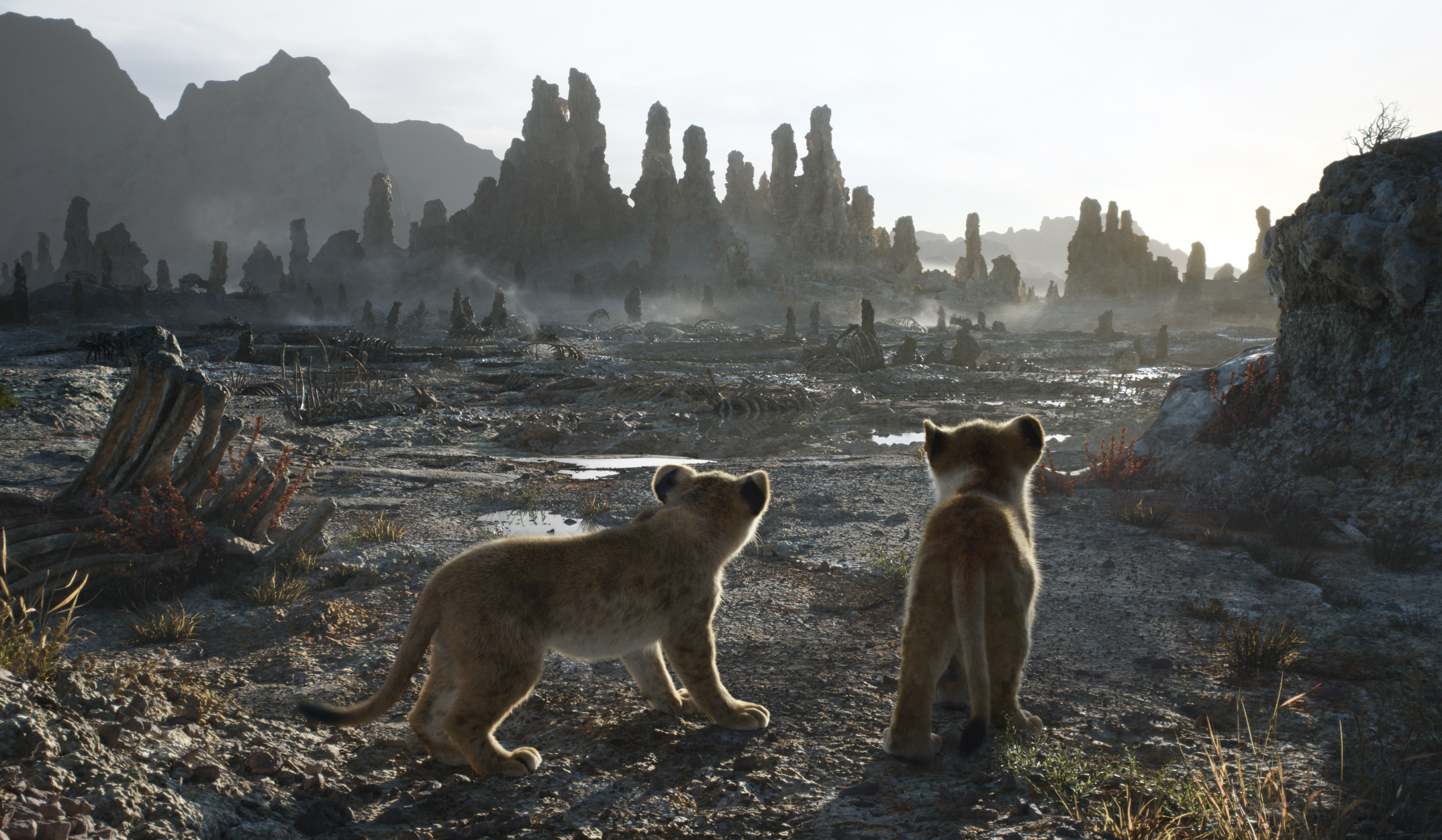 The Lion King 2019 movie, Caleb Deschanel cinematography, Virtual shooting, Director's vision, 2150x1260 HD Desktop