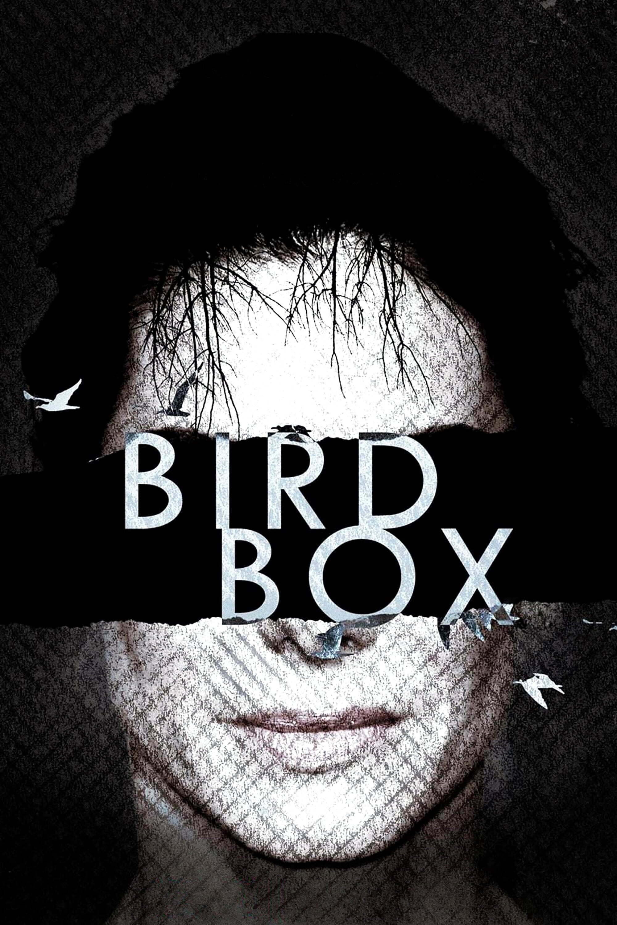 Bird Box (Movie 2018): Blindfolded Sandra Bullock, The actress in the leading role, Malorie Hayes, Post-apocalyptic film. 2000x3000 HD Wallpaper.