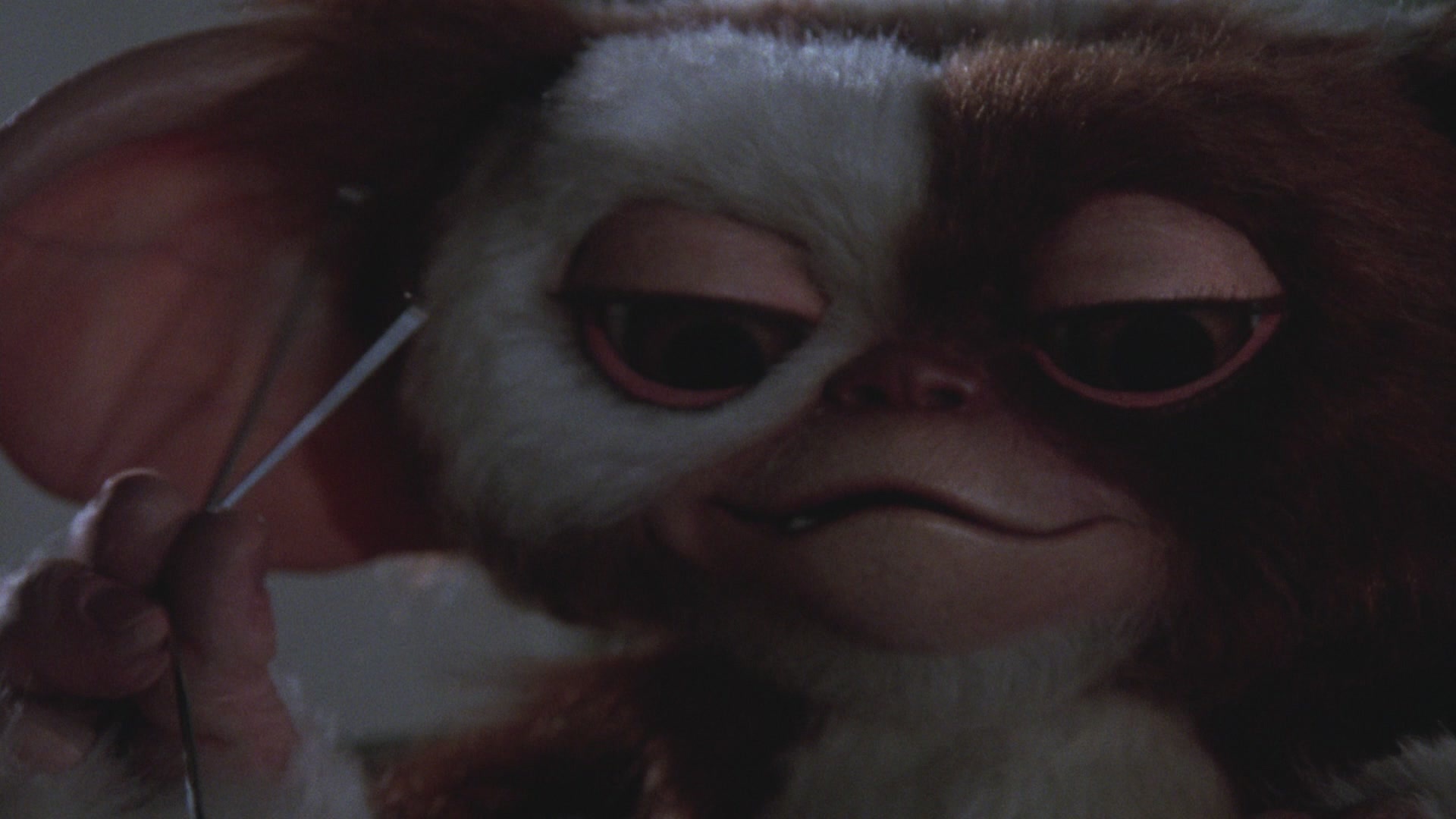 Gremlin Gizmo: Was discovered by Rand Peltzer when visiting a Chinatown antique store. 1920x1080 Full HD Background.