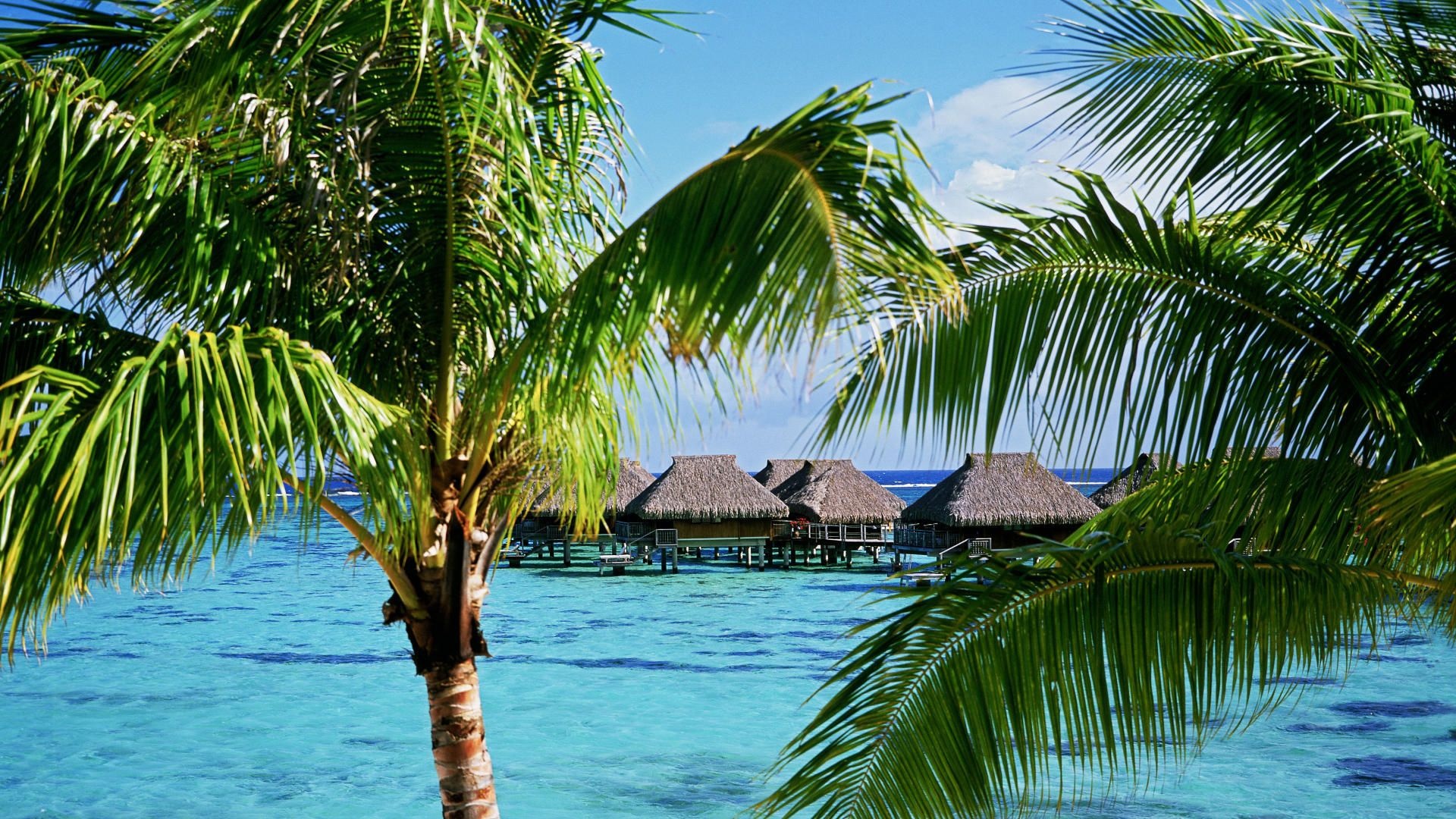 Moorea island, Tranquil landscapes, Azure waters, Exotic destination, 1920x1080 Full HD Desktop