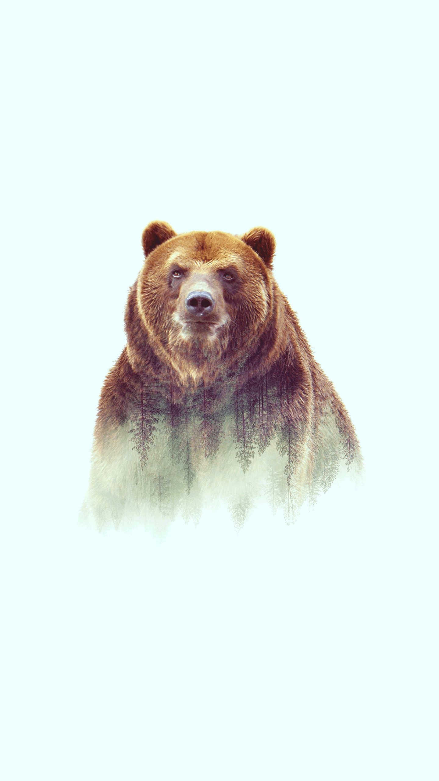 Grizzly Bear, Artistic iPhone wallpaper, Creative image, Stunning wallpaper, 1440x2560 HD Phone