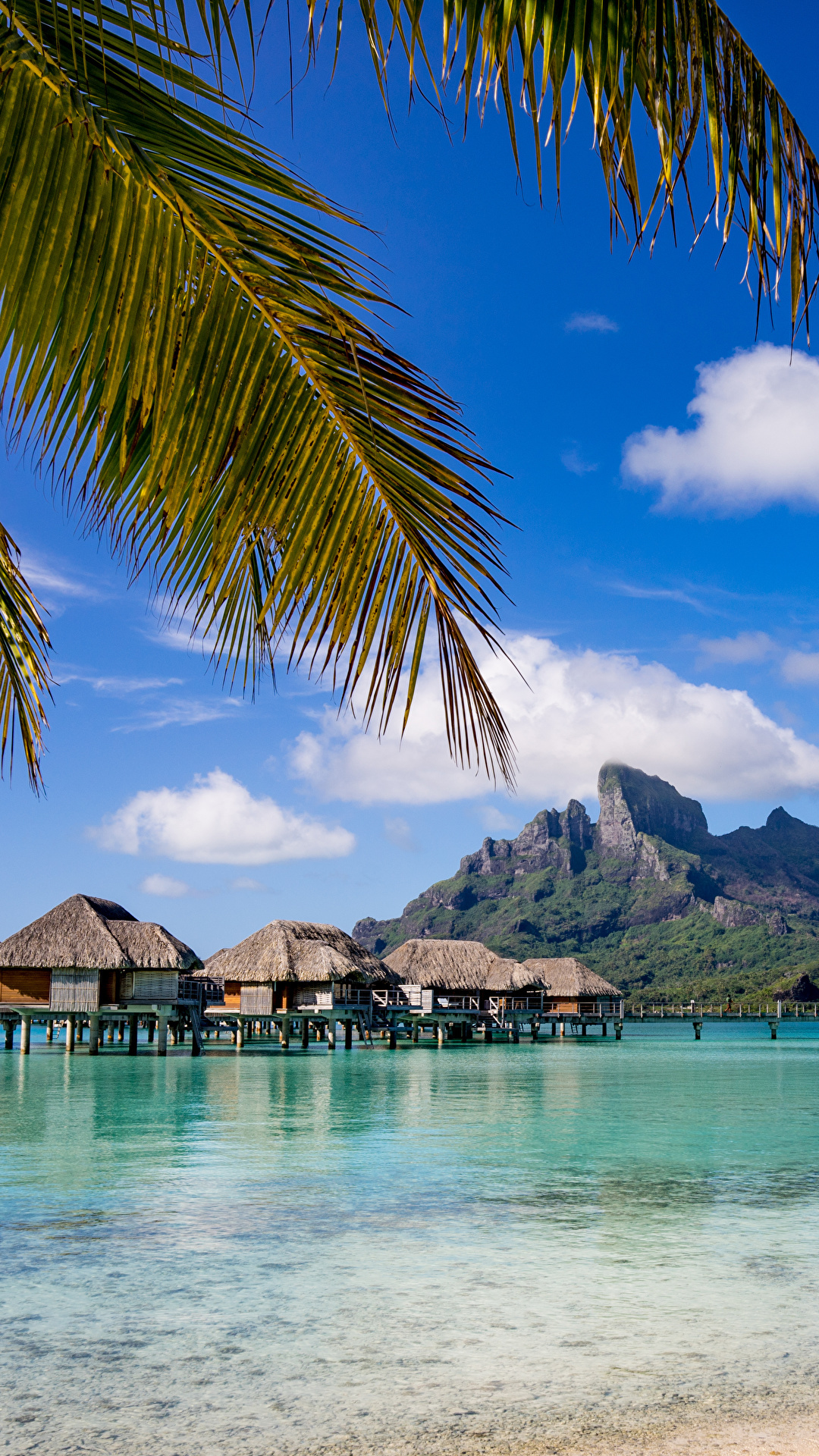 Bora Bora: French Polynesia, One of the unique tropical locations in the world. 1080x1920 Full HD Background.