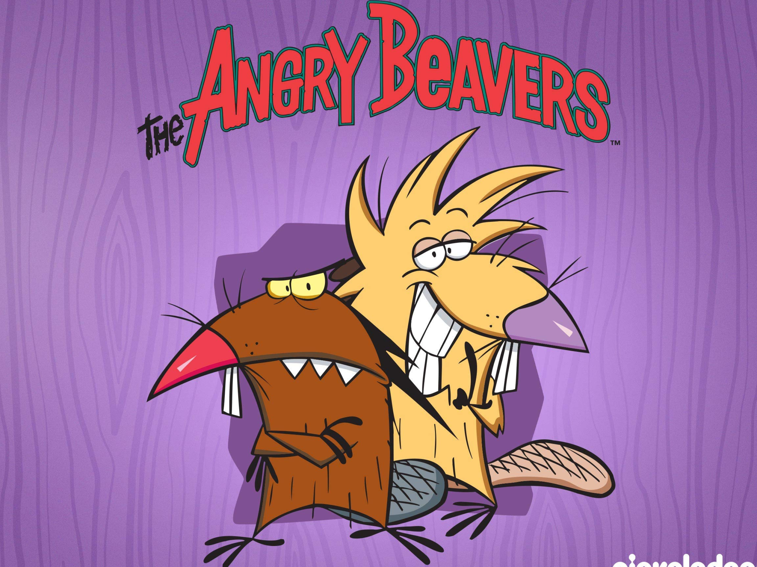 Angry beavers, TV series, Animation, Jesshawk36, 2560x1920 HD Desktop