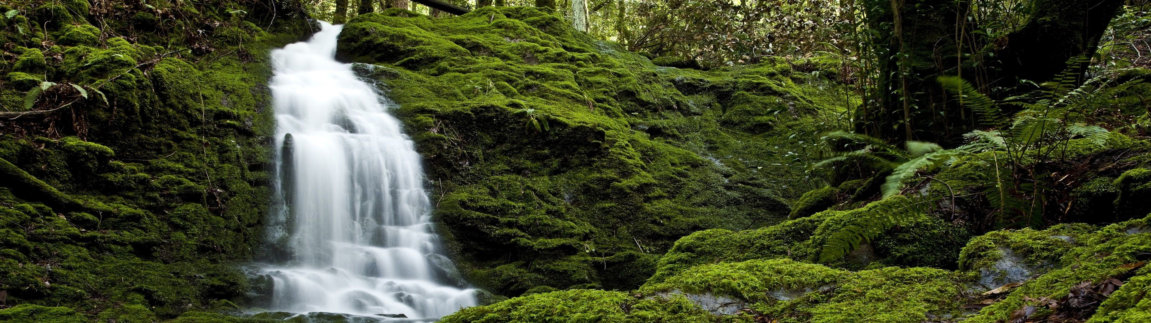 Landscape: A small waterfall in the nordic forest full of green moss, Canada. 3840x1080 Dual Screen Background.