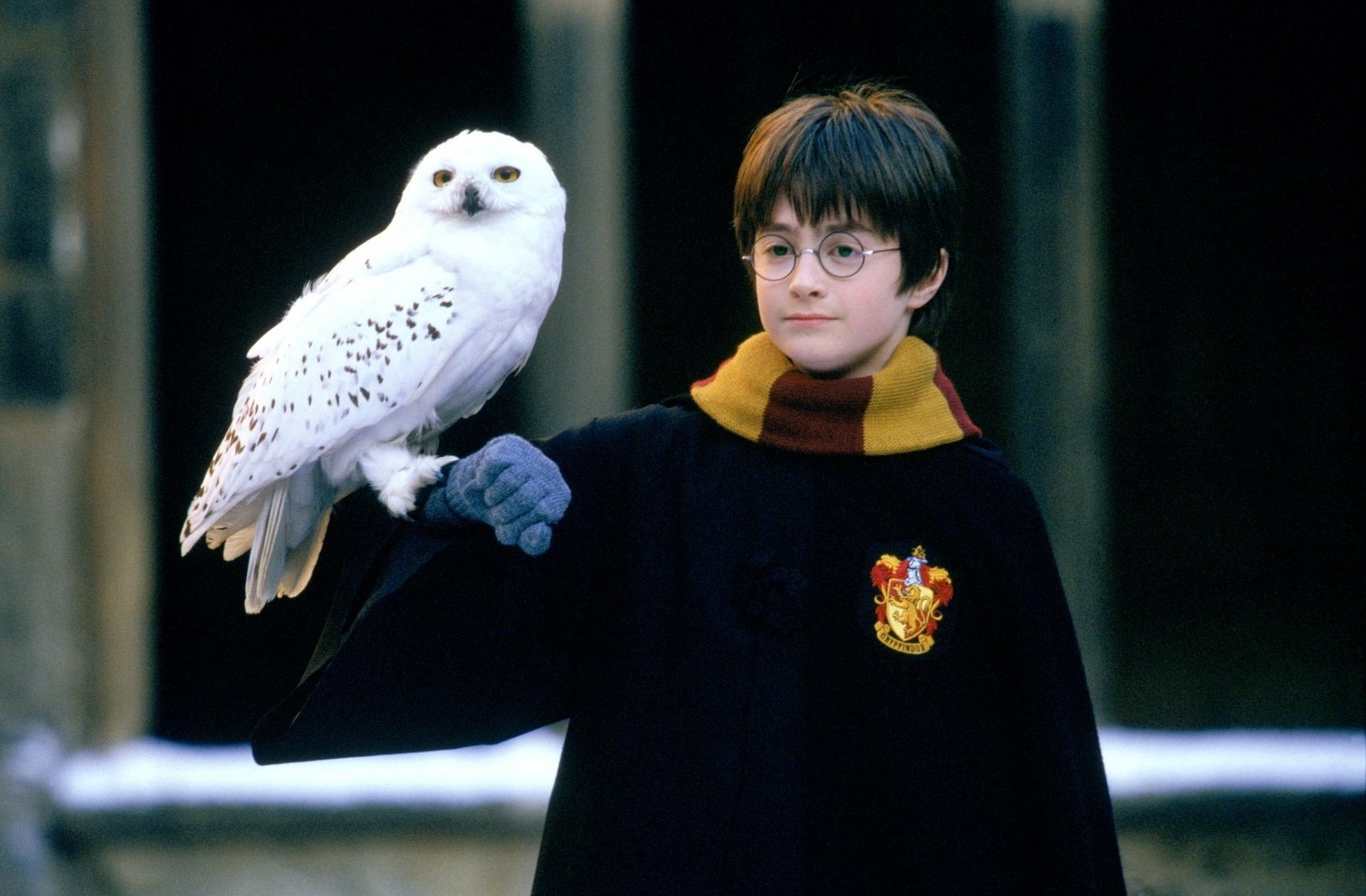 Hedwig: Her death is seen as symbolic of Harry's loss of innocence. 1920x1260 HD Background.