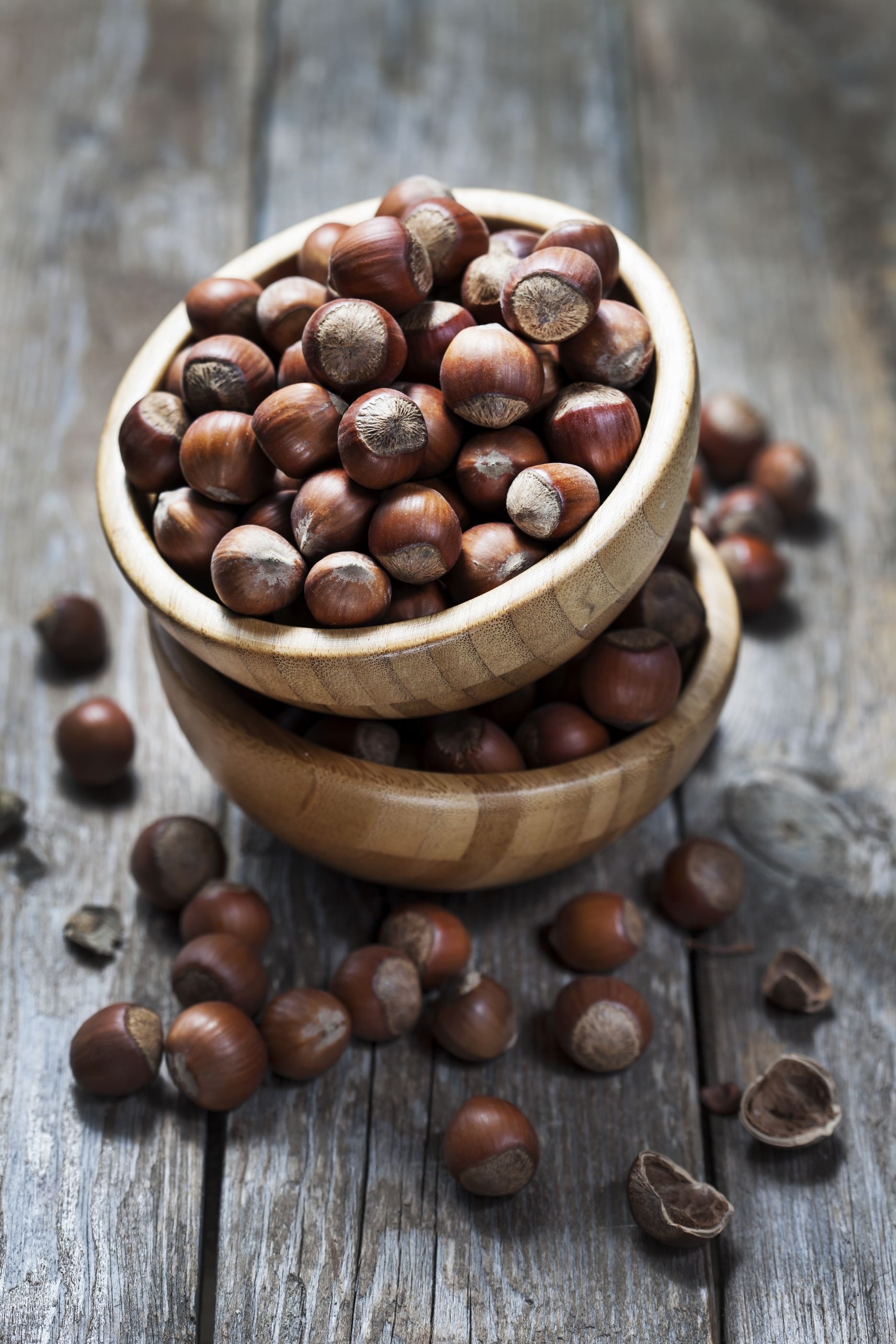 Hazelnuts: The fruit produced in clusters of one to five together. 1880x2810 HD Background.