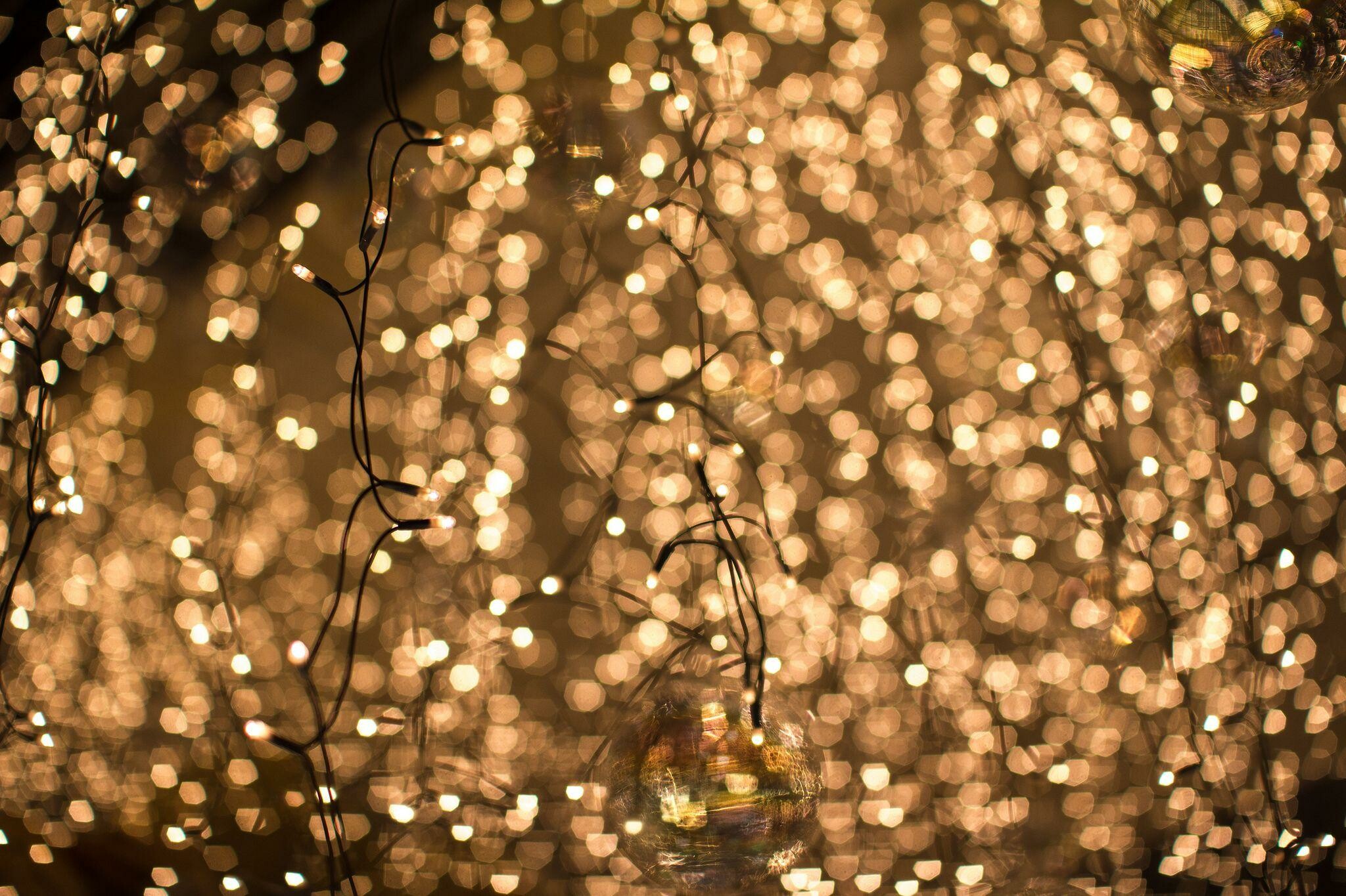 Fairy Lights: The first festive outdoor electric illumination was organized by Fredric Nash in Altadena. 2050x1370 HD Wallpaper.