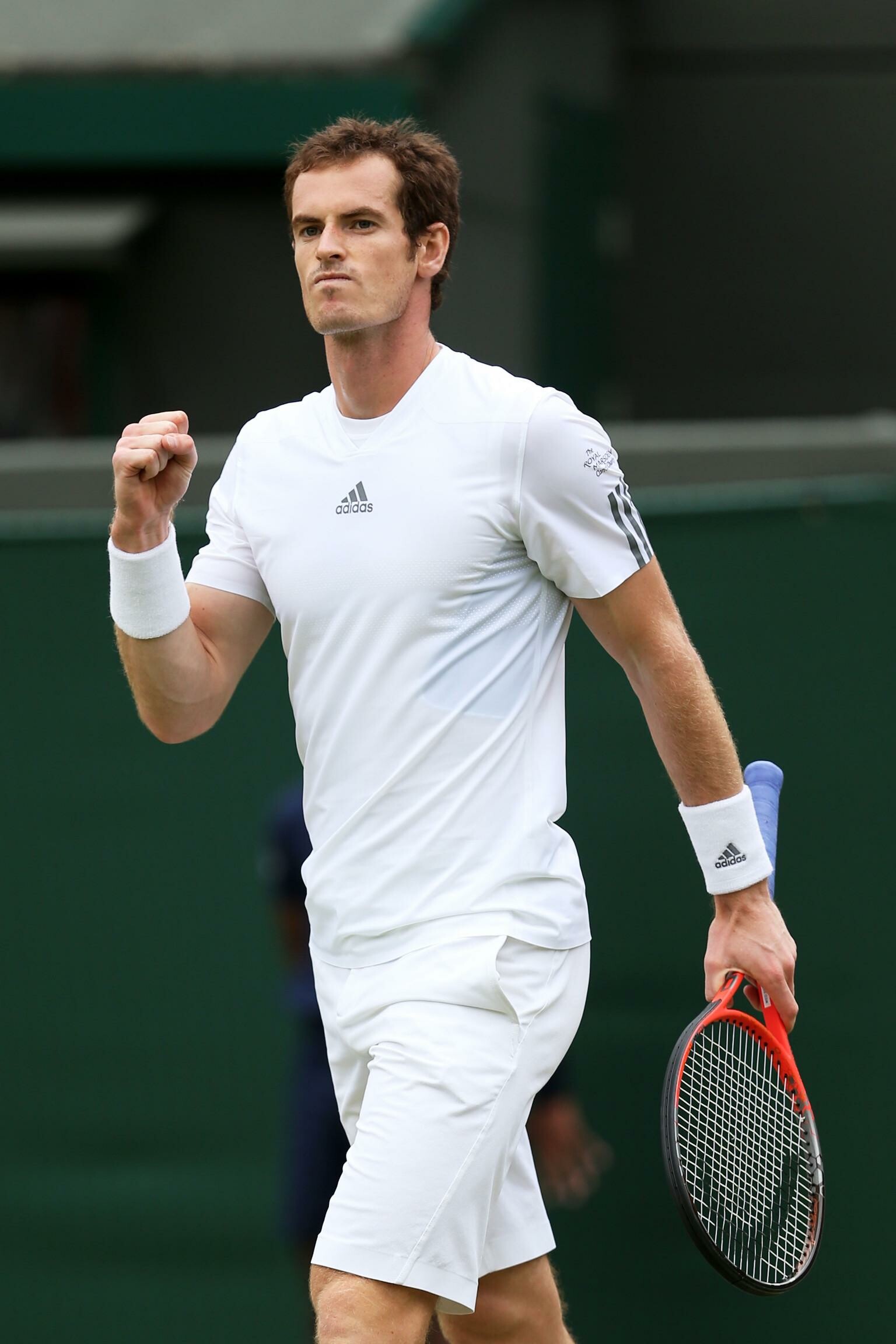 Tennis, Tennissport, Andy Murray, Erfahrener Spieler, 1540x2310 HD Handy