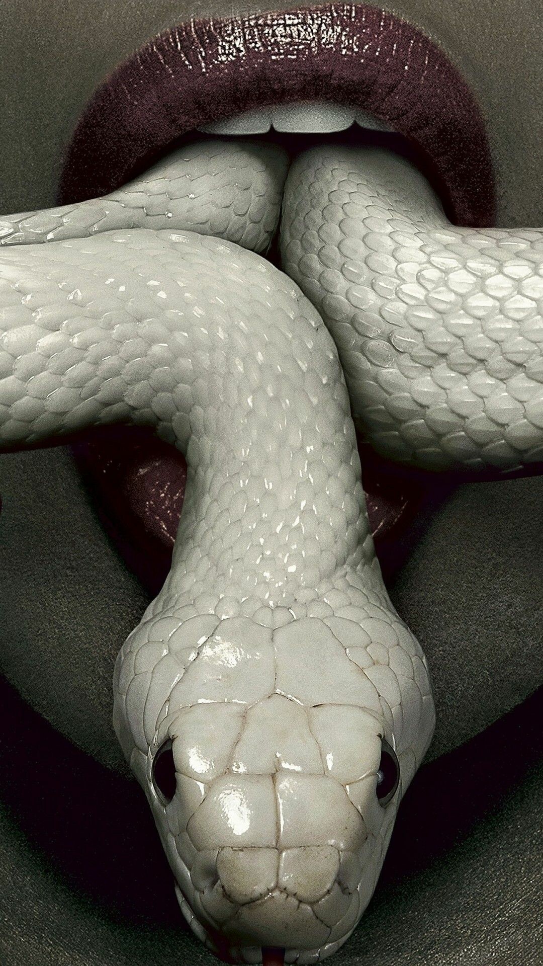 Snake: Its venoms are often prey-specific, and their role in self-defense is secondary. 1080x1920 Full HD Background.