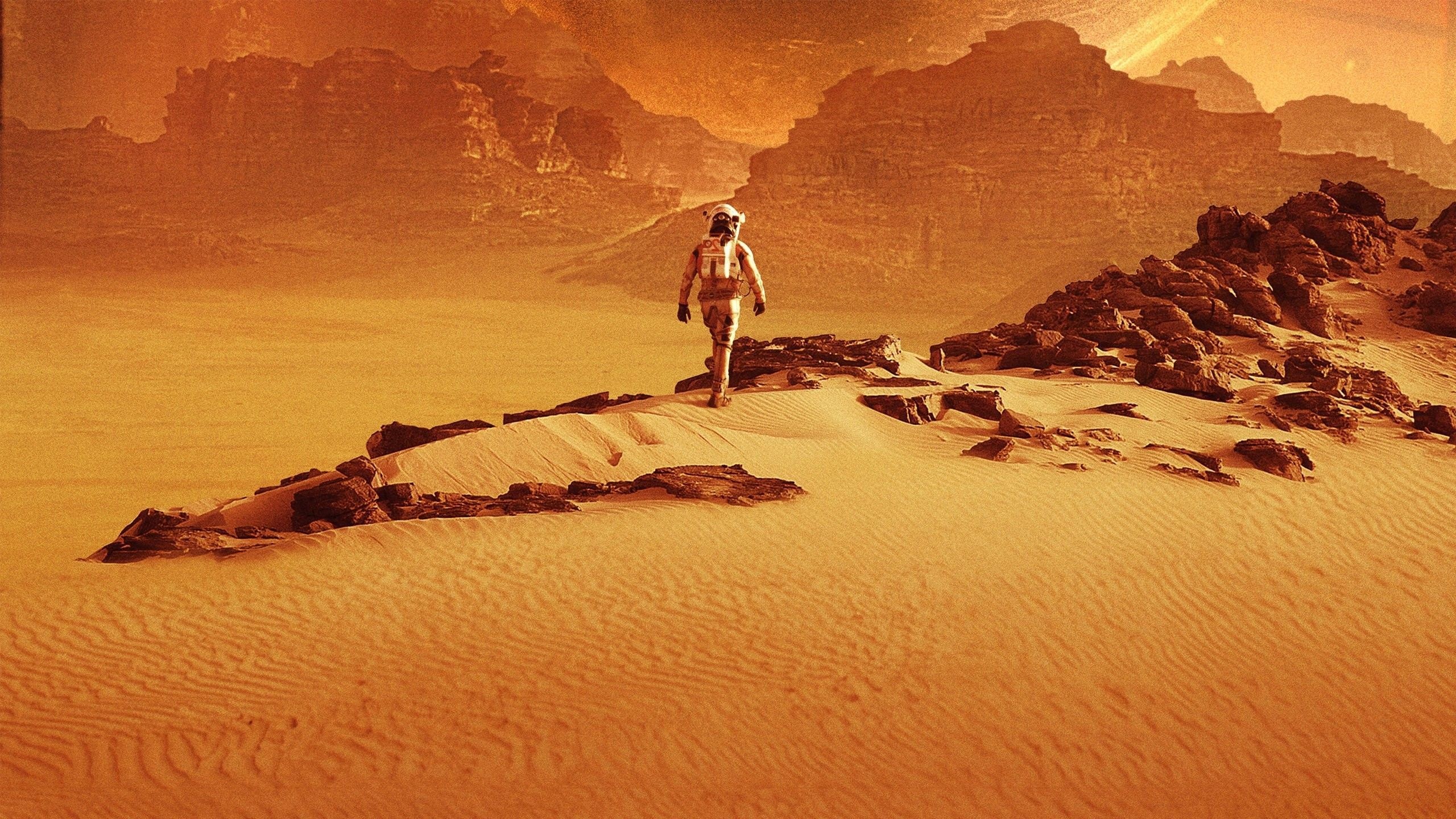 Mark Watney, The Martian, Computer wallpapers, Backgrounds, 2560x1440 HD Desktop