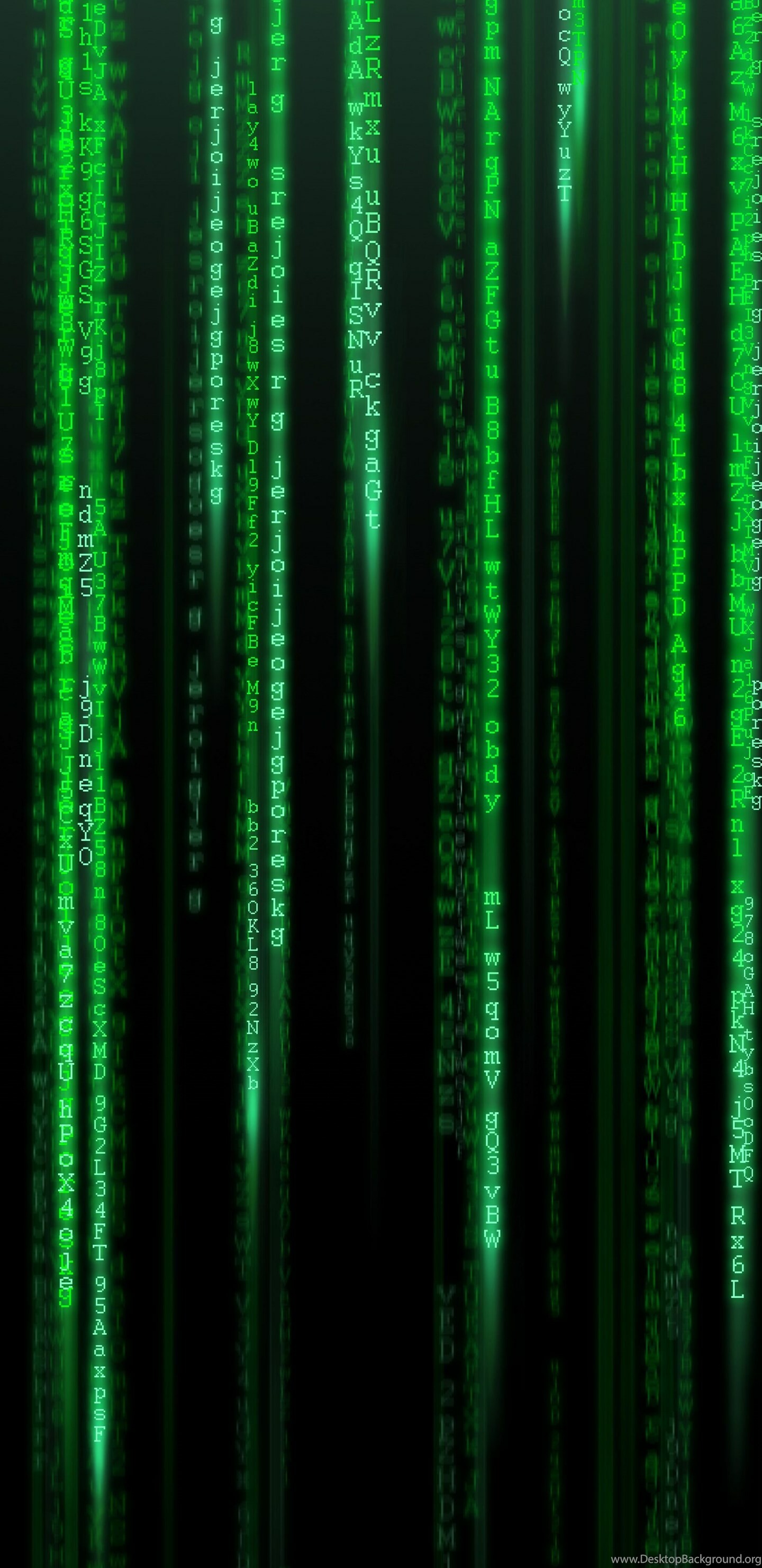 Matrix Franchise: Digital code, The computer code related to the franchise. 1440x2960 HD Wallpaper.