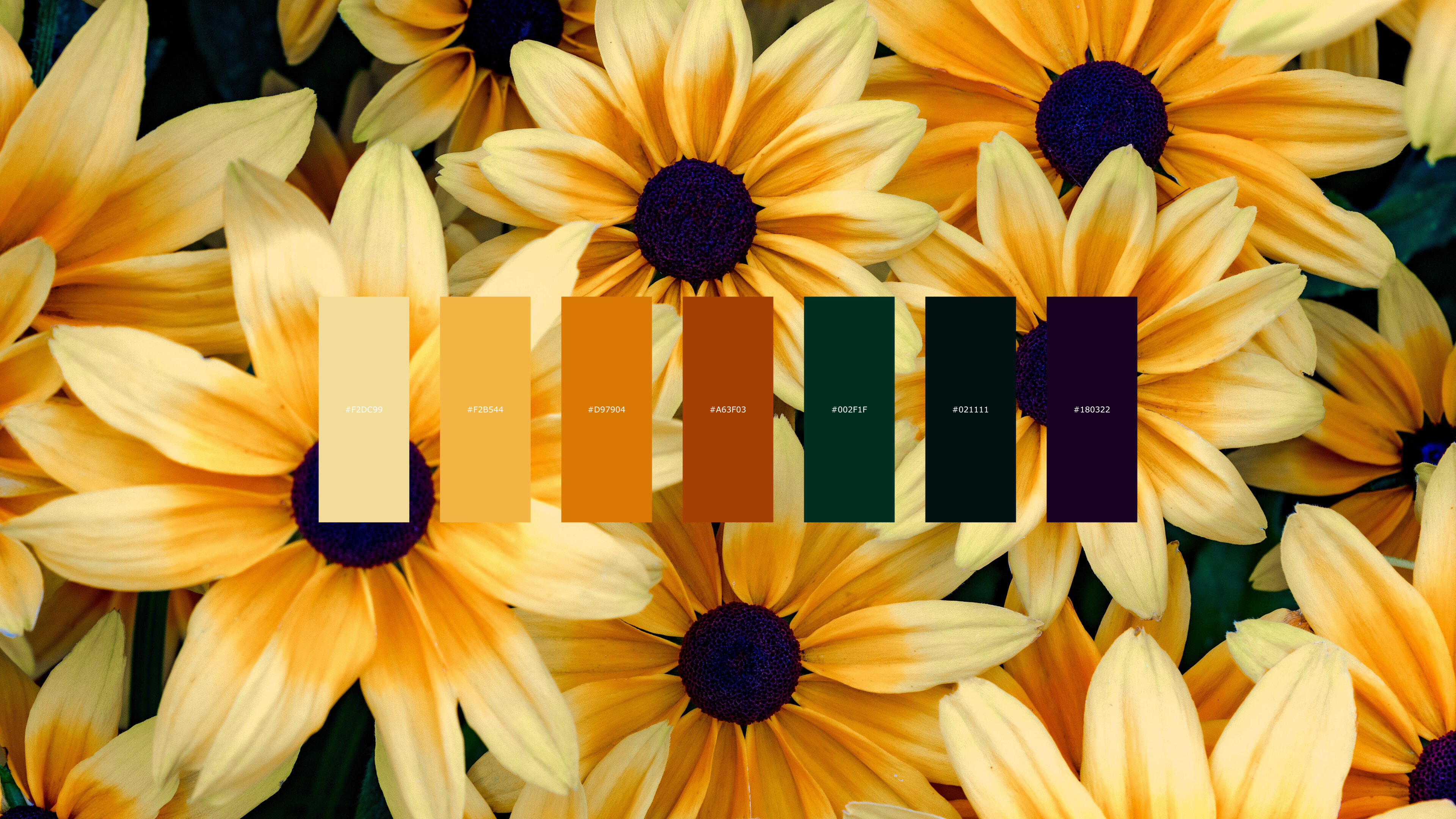 Blumenfarbpalette, Lebendige Blten, 3840x2160 4K Desktop