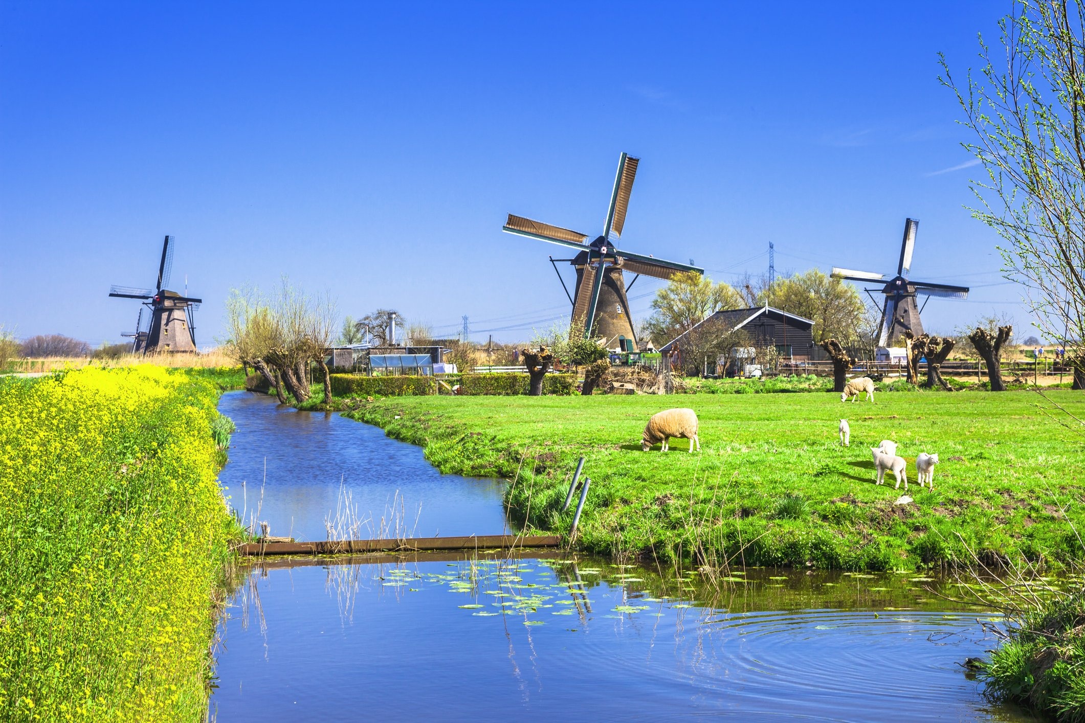 Windmills at Kinderdijk, Travels, Netherlands, Itinerary, 2130x1420 HD Desktop