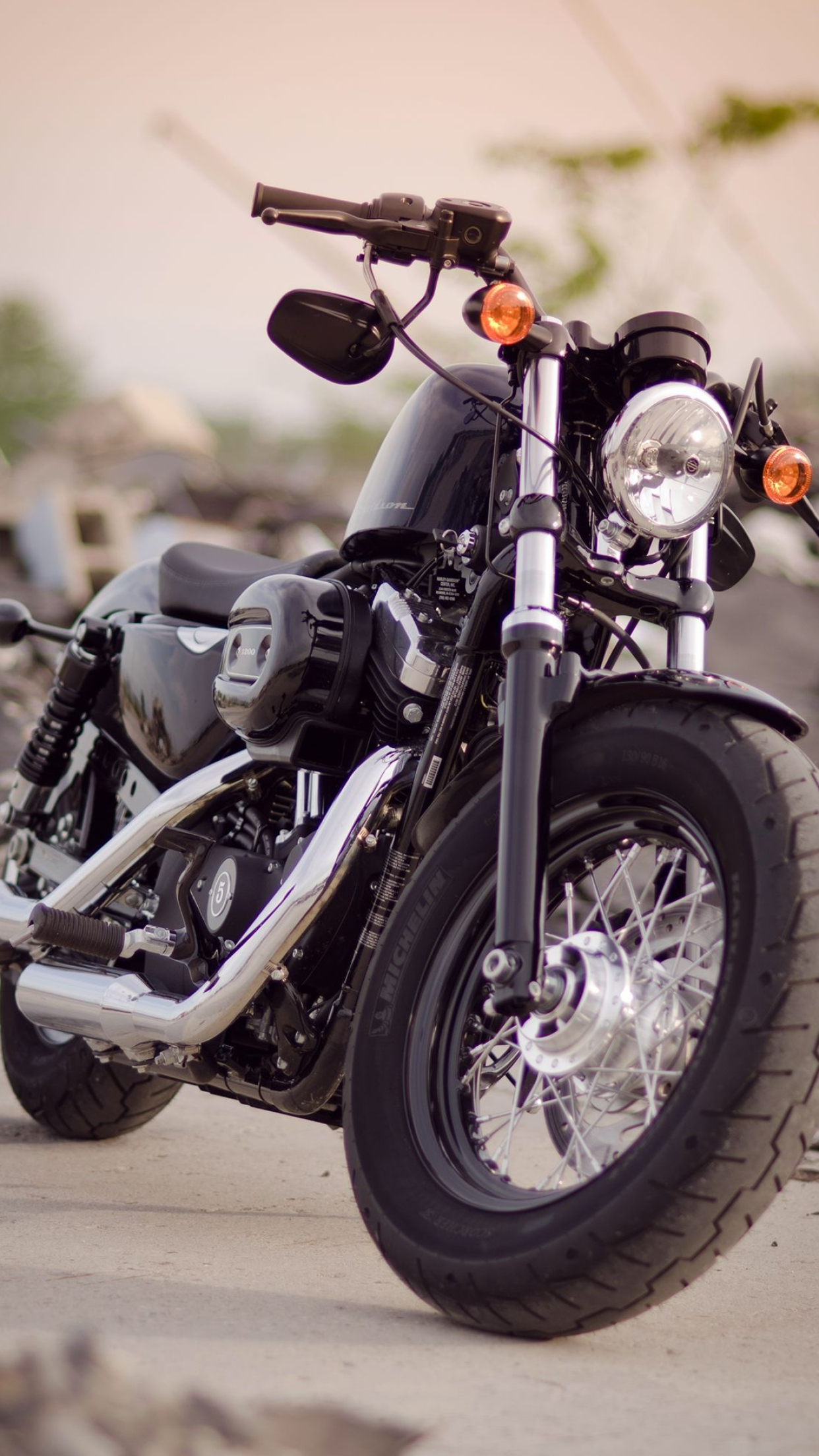 Harley-Davidson Iron 883, HD iPhone wallpapers, Motorcycle aesthetic, Stunning visuals, 1250x2210 HD Handy