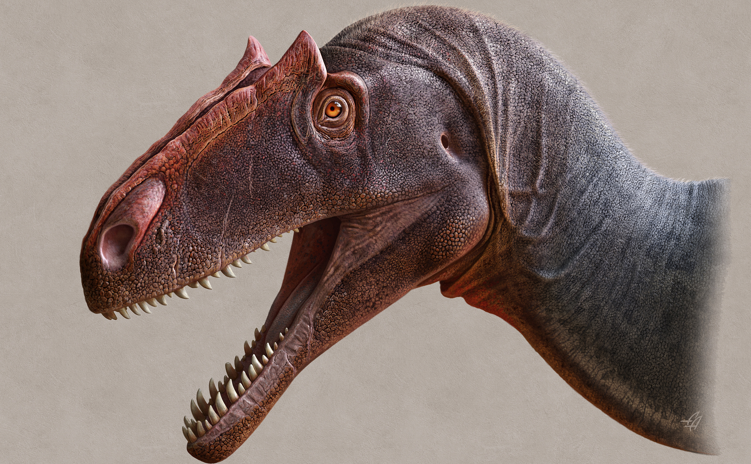 Allosaurus, Utah Museum of Natural History, Top predator, Paleontological exhibit, 2490x1540 HD Desktop