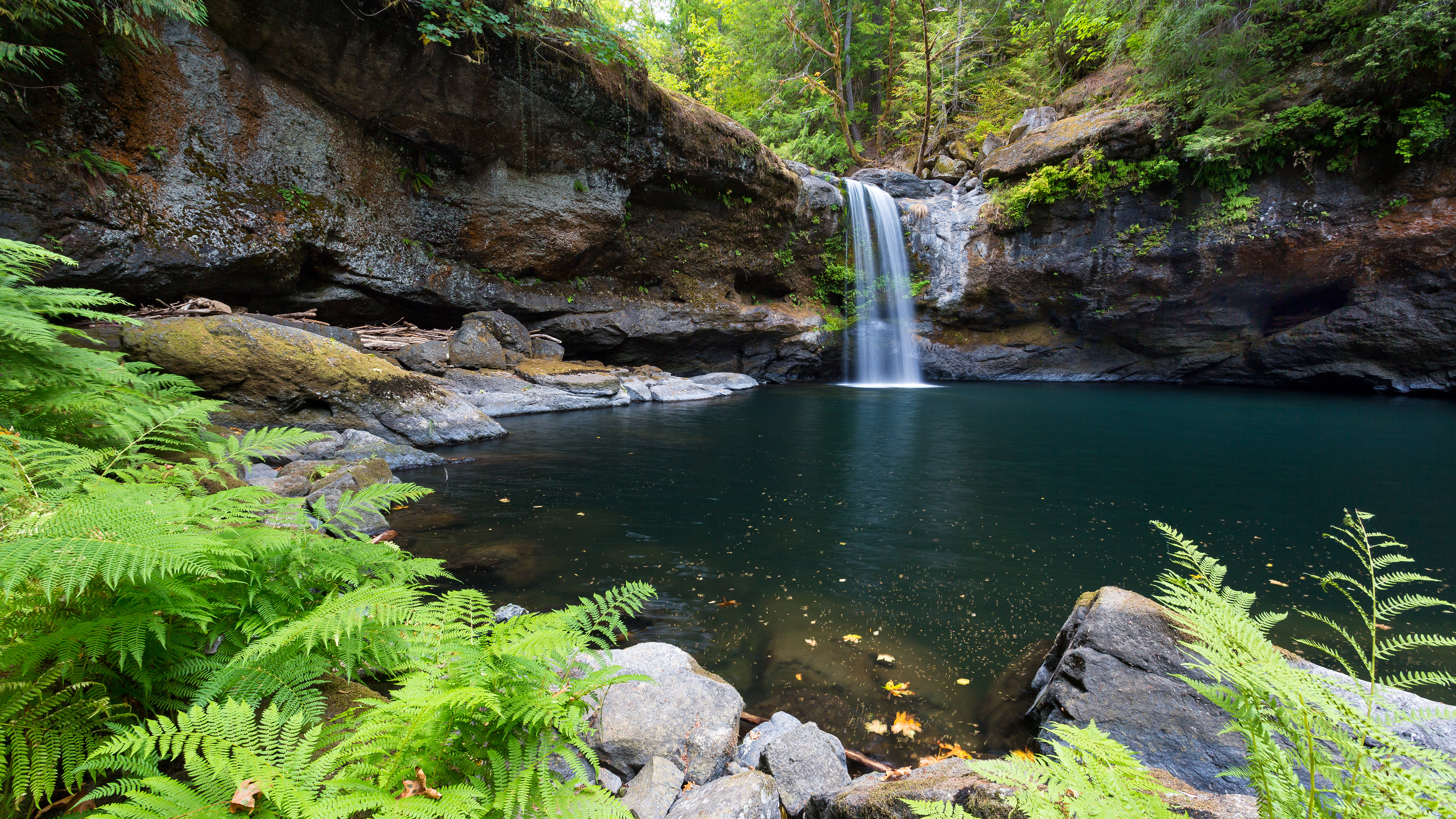 Daintree National Park, Majestic waterfalls, Natural wonders, Serene backgrounds, 3840x2160 4K Desktop