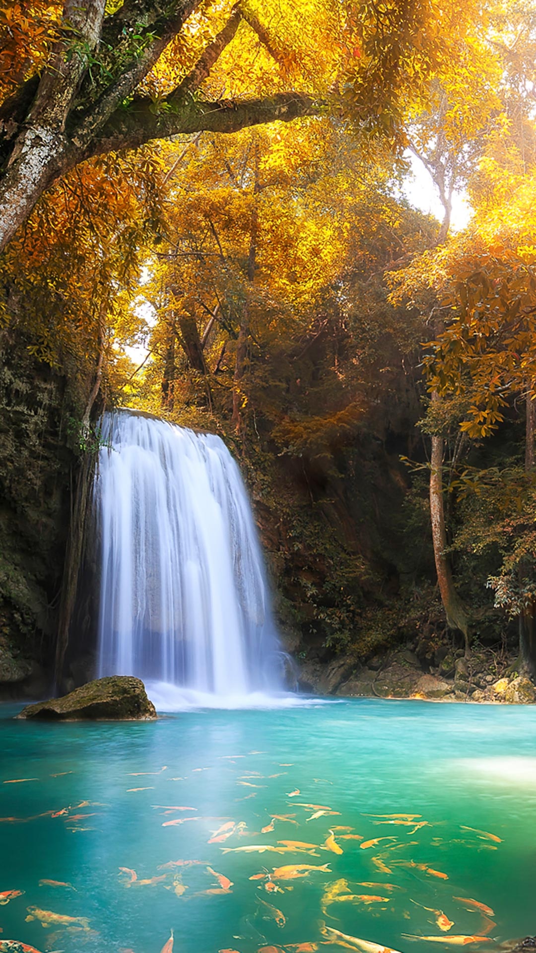 Erawan National Park, Deep Forest, Waterfall in Kanchanaburi, 1080x1920 Full HD Phone