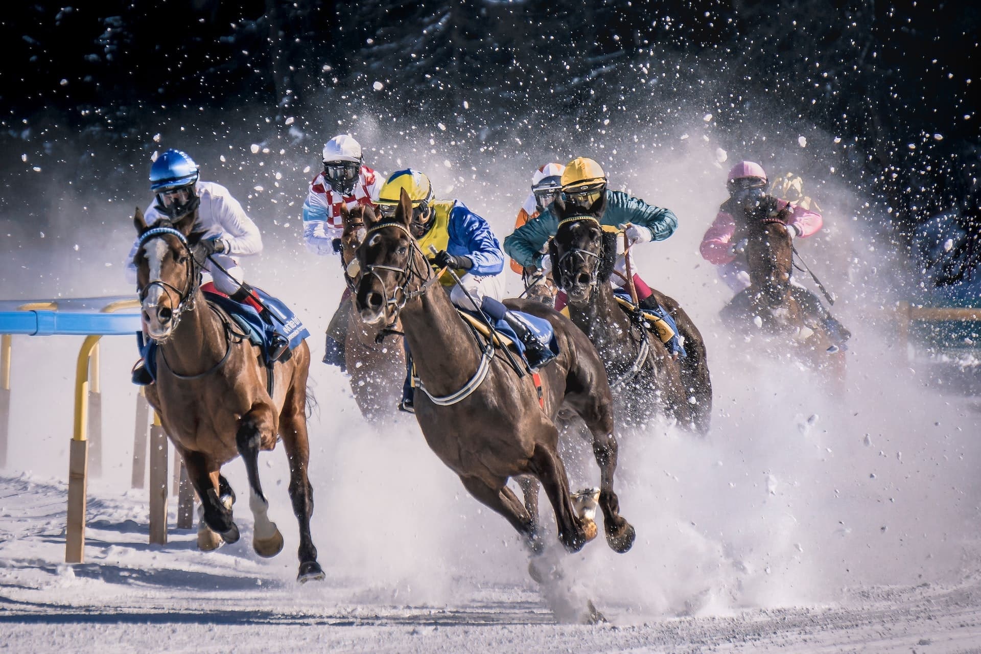Equestrian Sports: Winter flat racing, The most popular horse riding activity around the world. 1920x1280 HD Wallpaper.