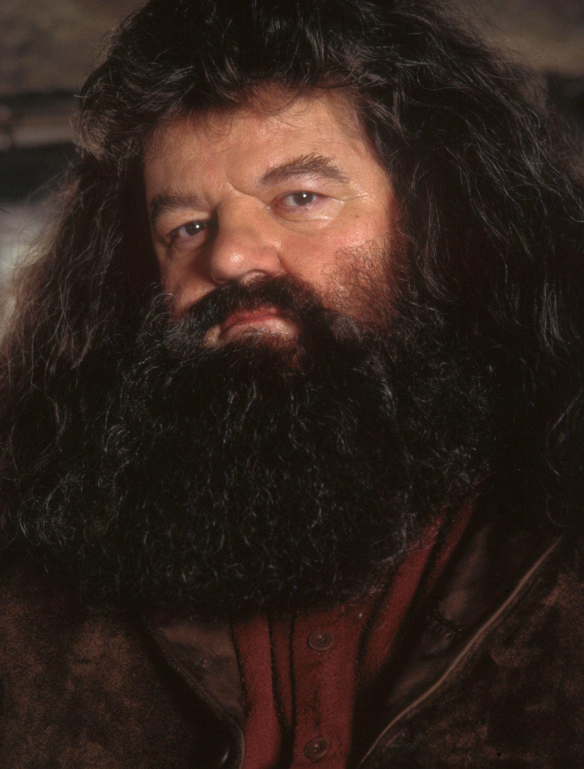 Hagrid, Half-giant hero, Hogwarts professor, Brave companion, 2000x2630 HD Phone