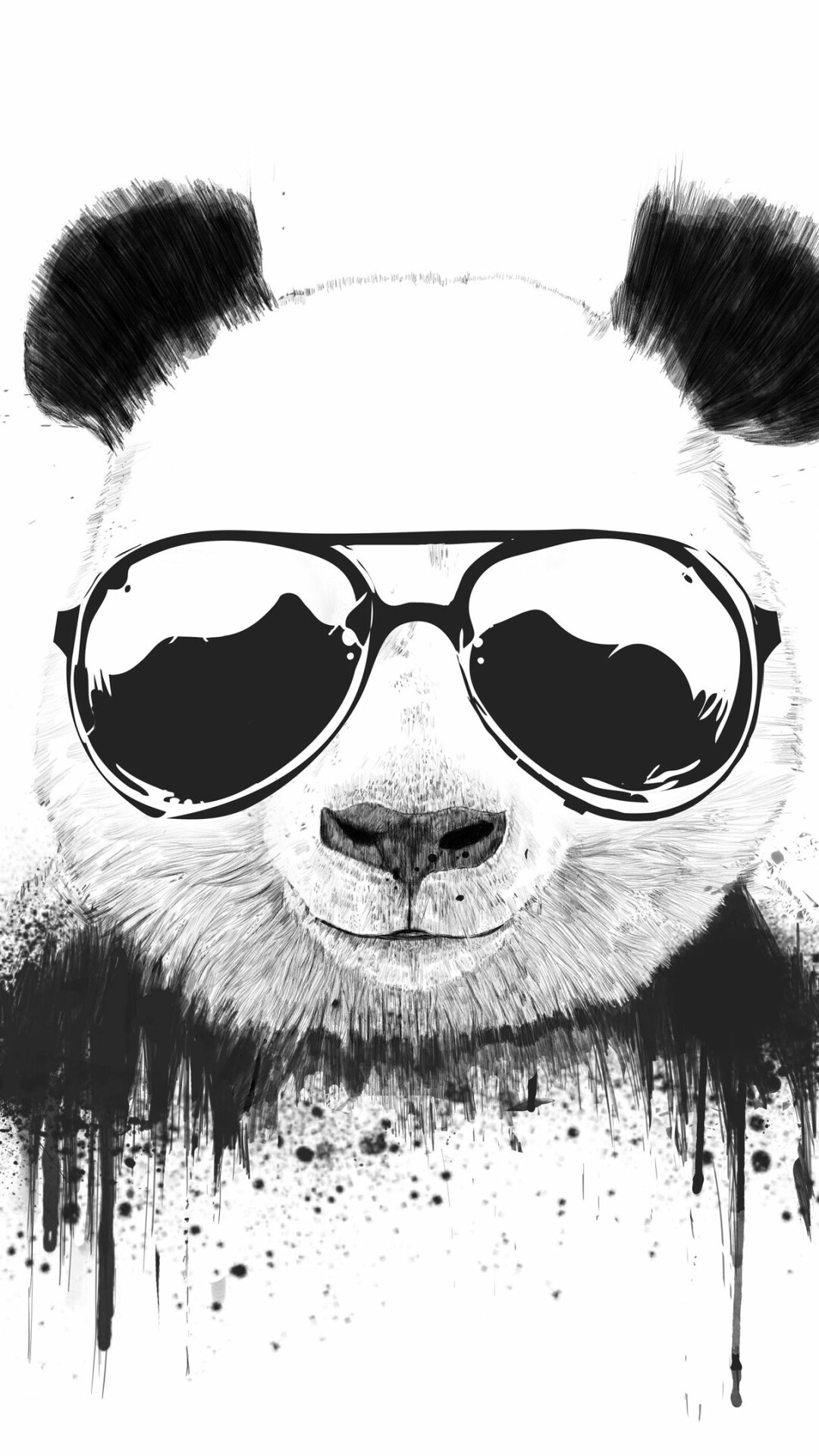 Panda: Black and white bear, Inhabiting bamboo forests in the mountains of central China. 1080x1920 Full HD Background.