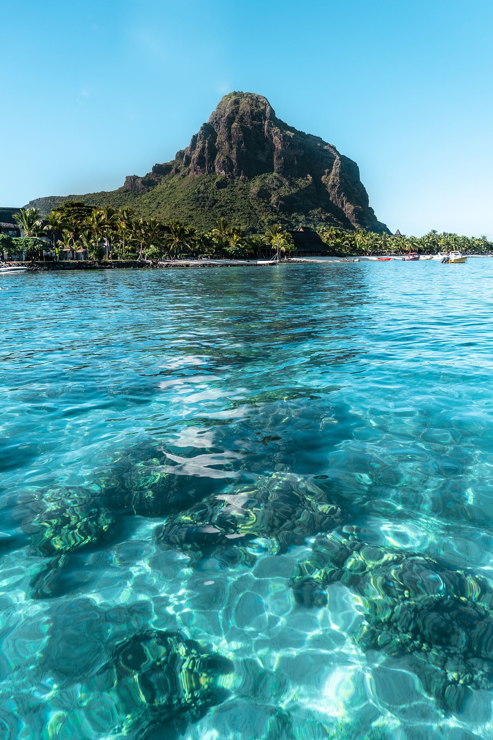 Mauritius Island, Swim with dolphins, Vitamin sea travel, Caribbean escape, 1600x2400 HD Phone