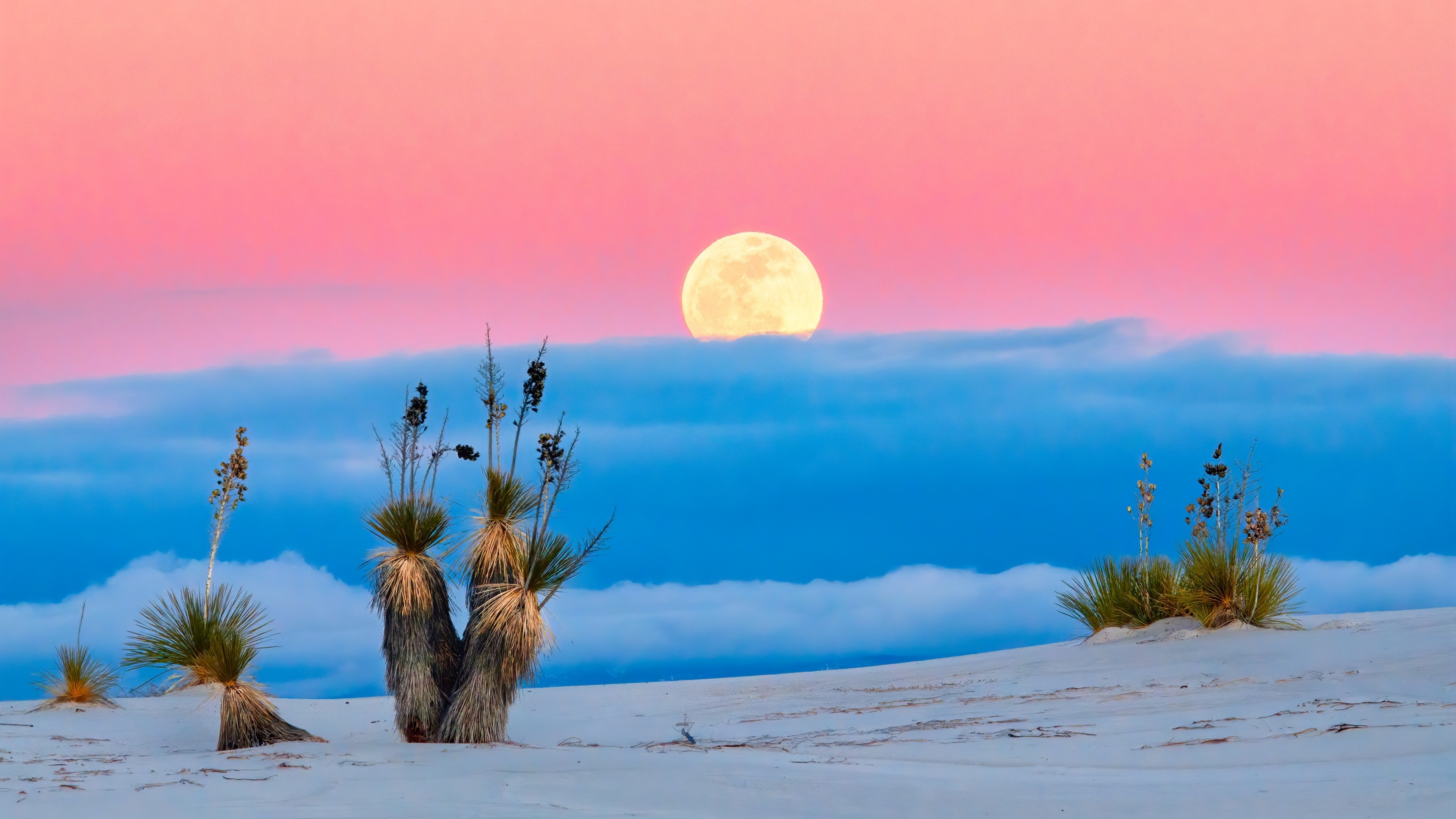 White Sands National Park, New Mexico, Nature, 3840x2160 4K Desktop
